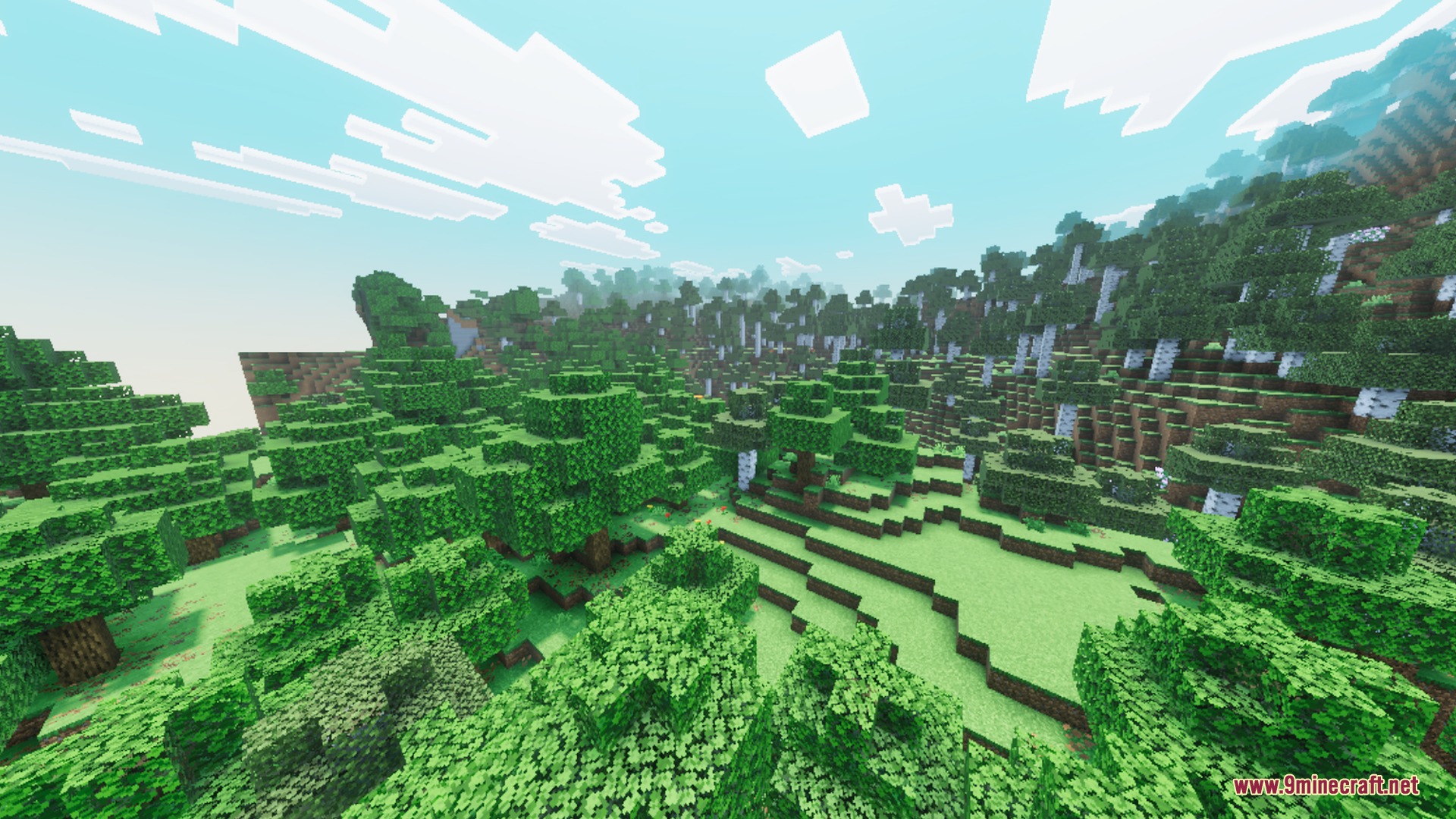 Lush green forest biome with birch trees under a clear blue sky