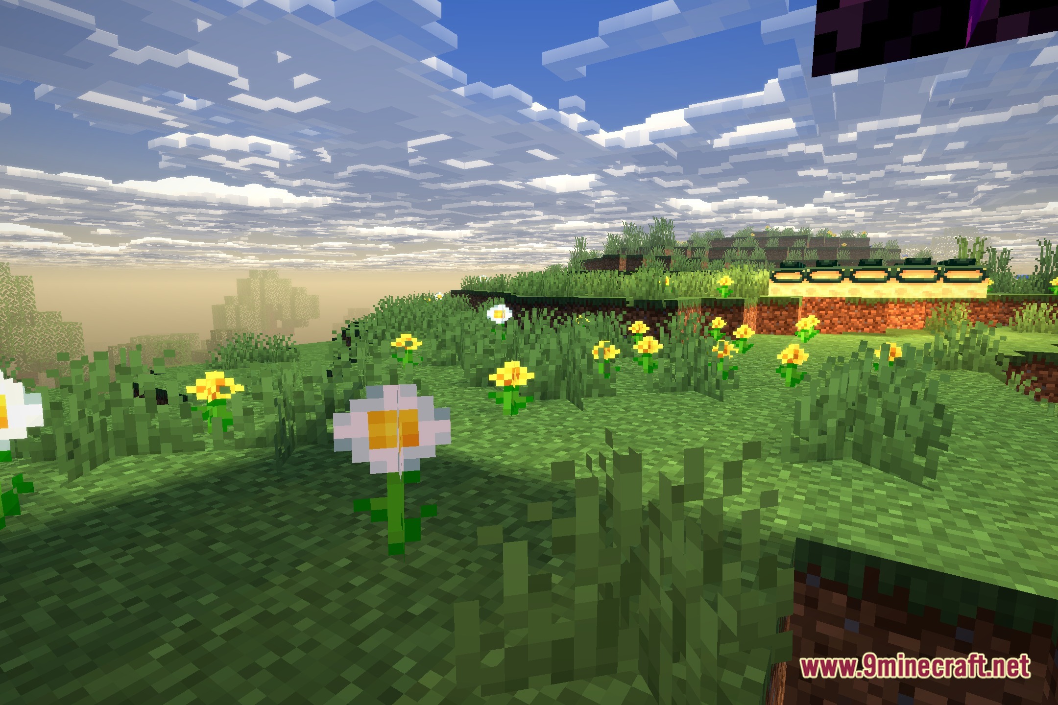 LiteFrames Shaders Screenshot 5