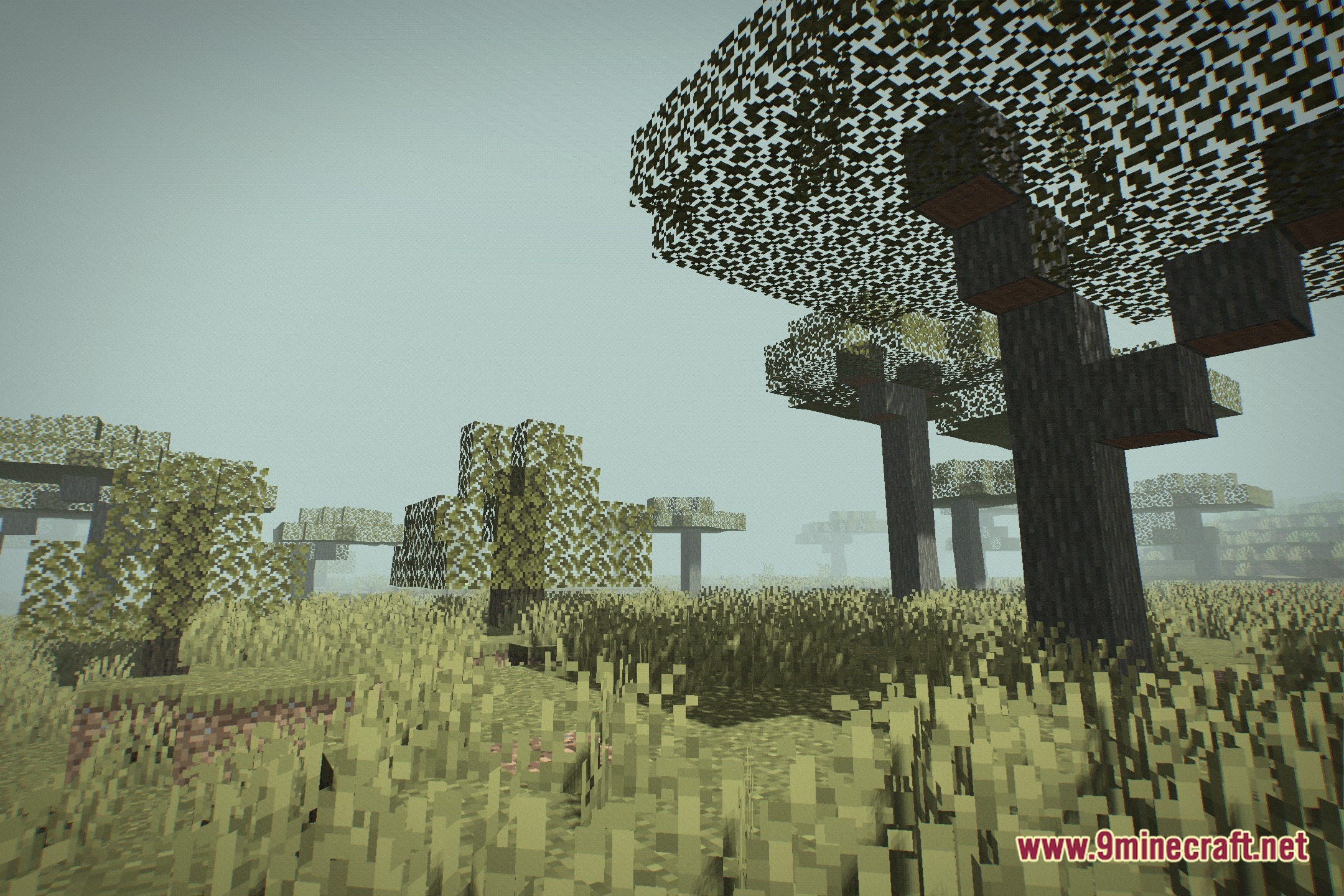 Lost Tape Shaders Screenshot 10