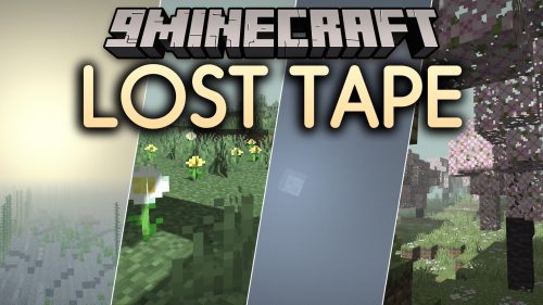 Lost Tape Shaders (26.2, 1.20.1) - Analog Horror and Retro Camera Effects