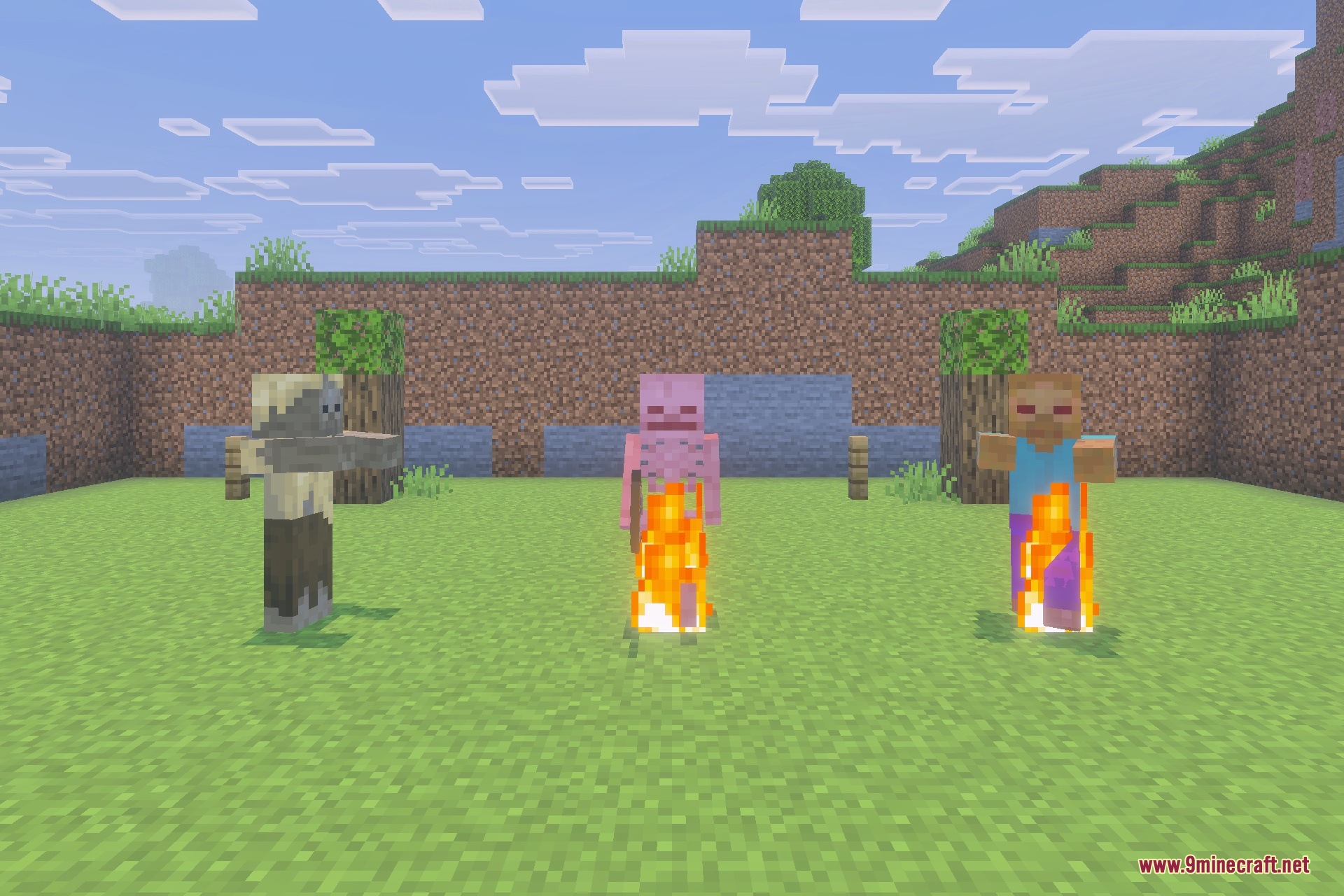 Low Fire Shield & Small Totem Texture Pack Screenshot 2