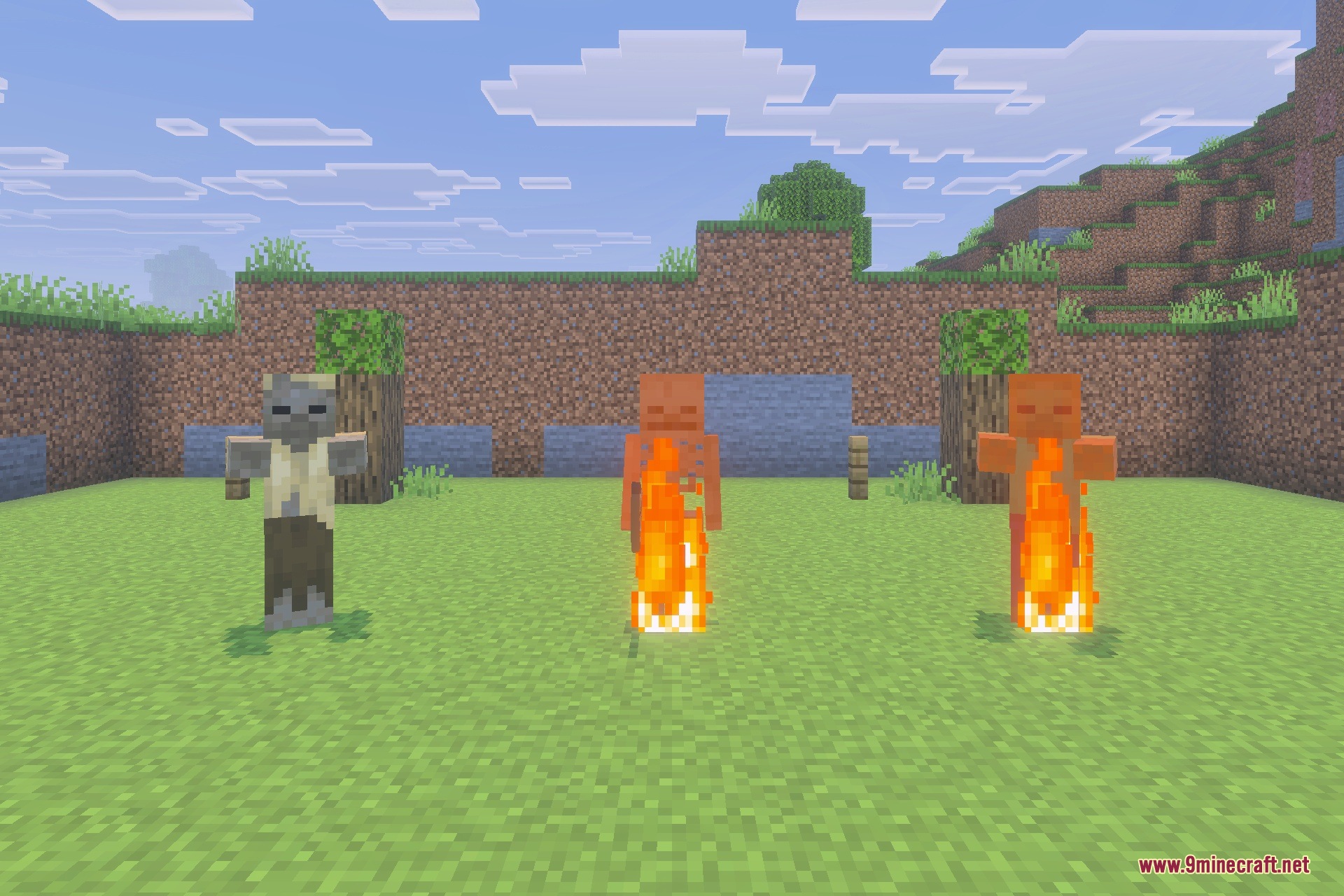 Low Fire Shield & Small Totem Texture Pack Screenshot 3