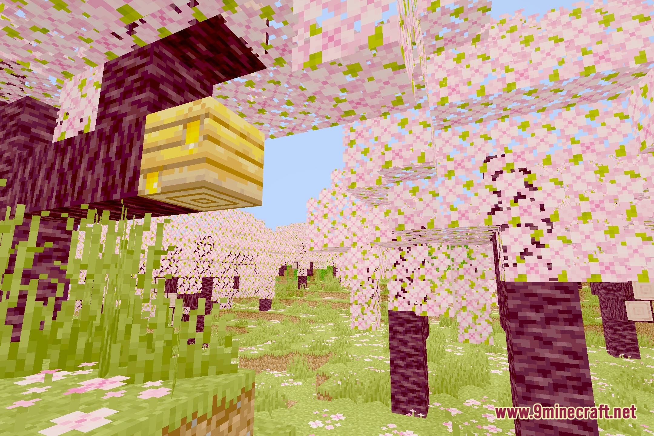 Lucid Clarity Shaders Screenshot 1