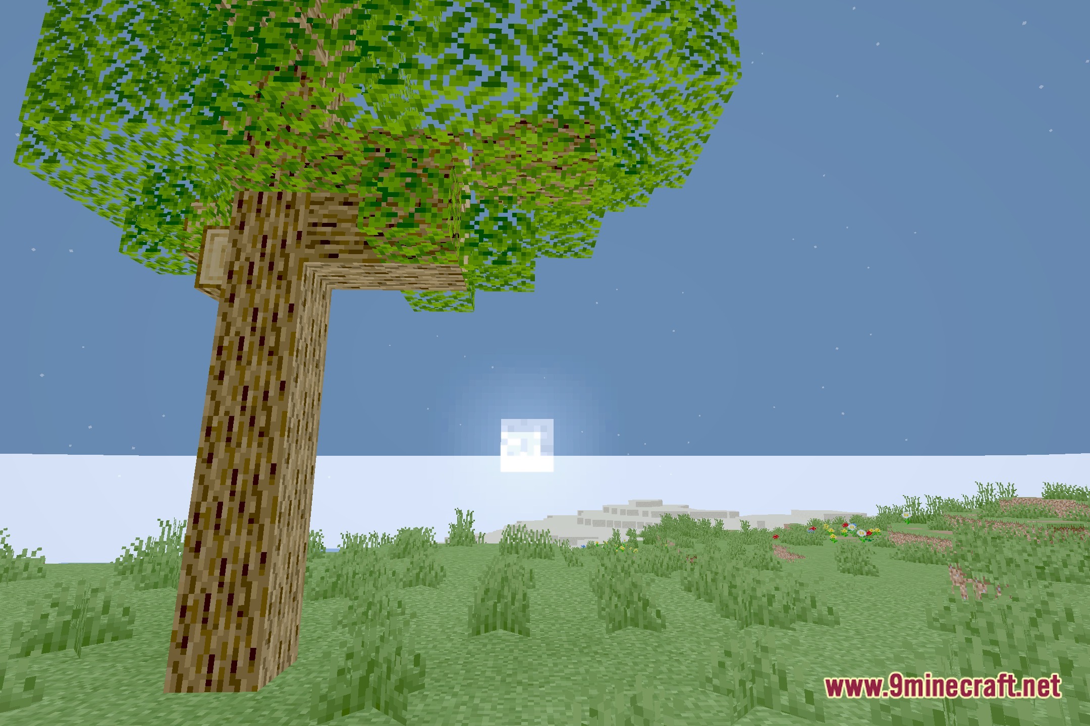 Lucid Clarity Shaders Screenshot 4