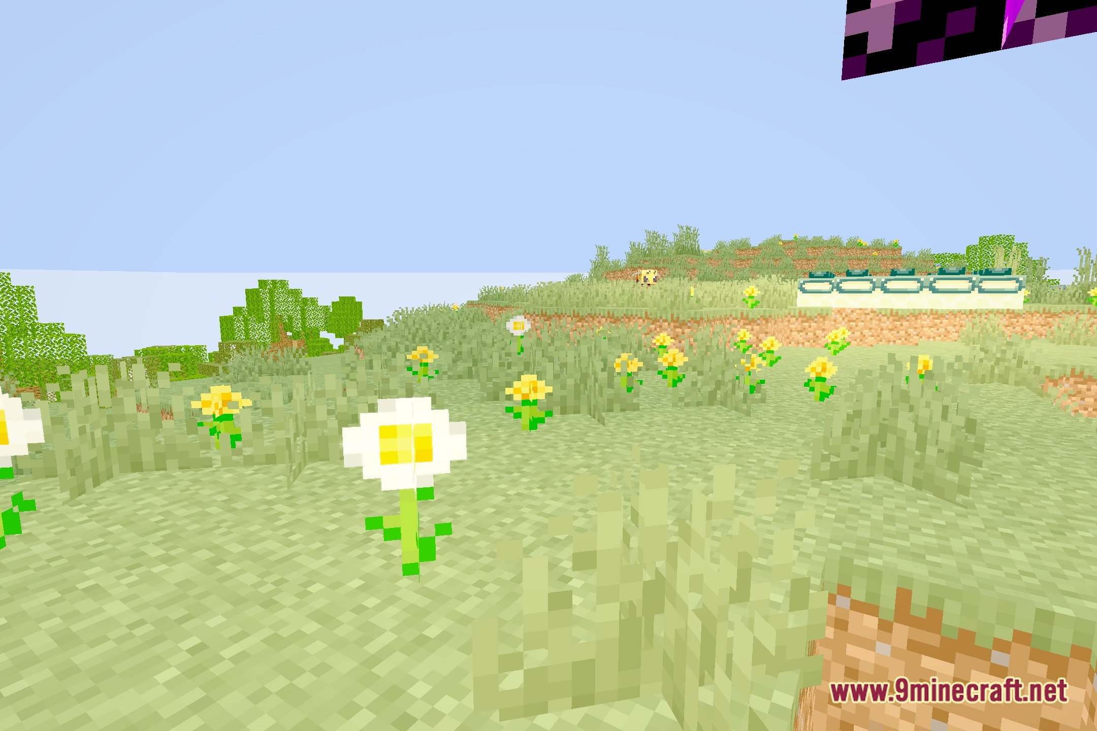 Lucid Clarity Shaders Screenshot 5