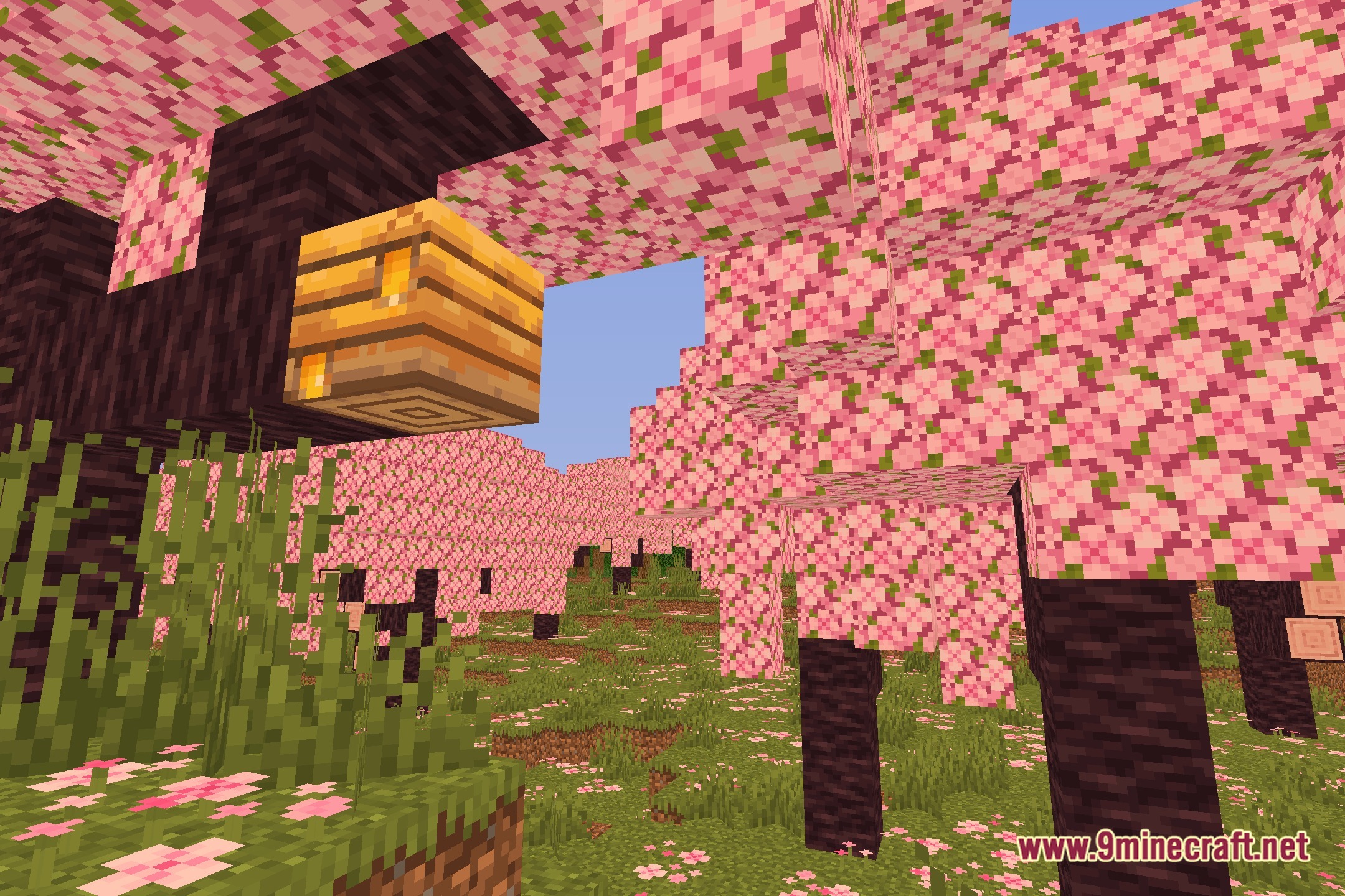 Lucidus Shaders Screenshot 1
