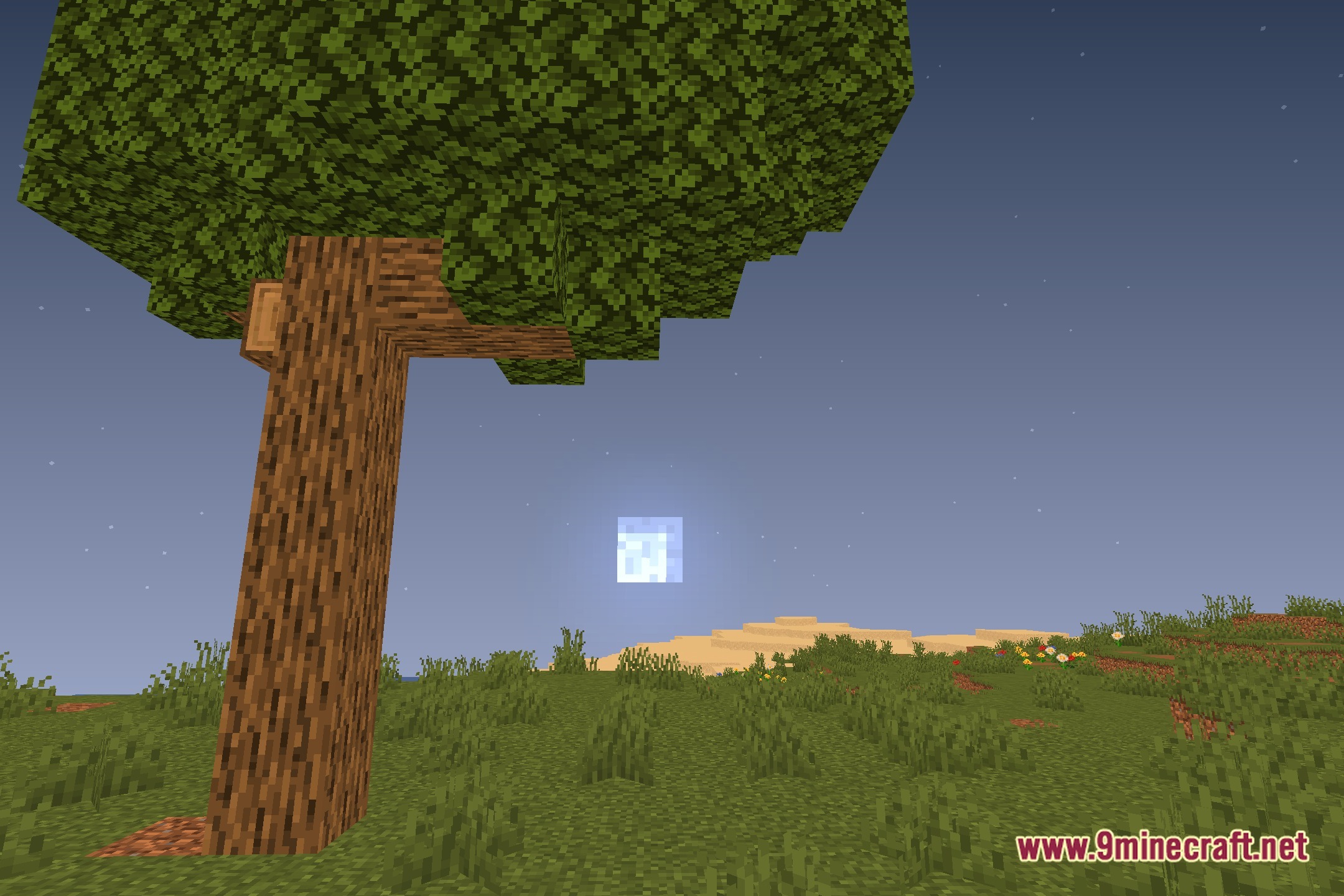 Lucidus Shaders Screenshot 3