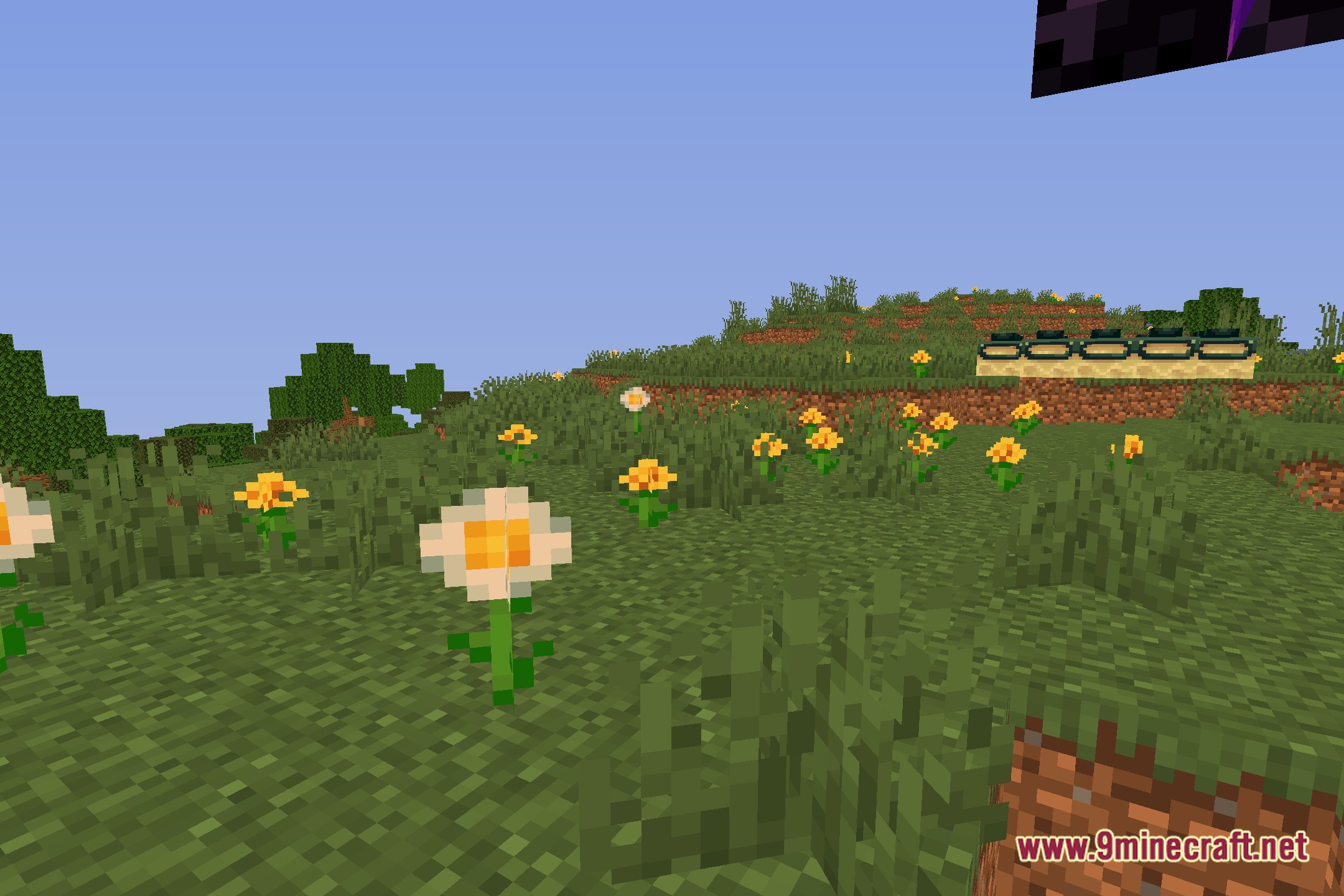 Lucidus Shaders Screenshot 4