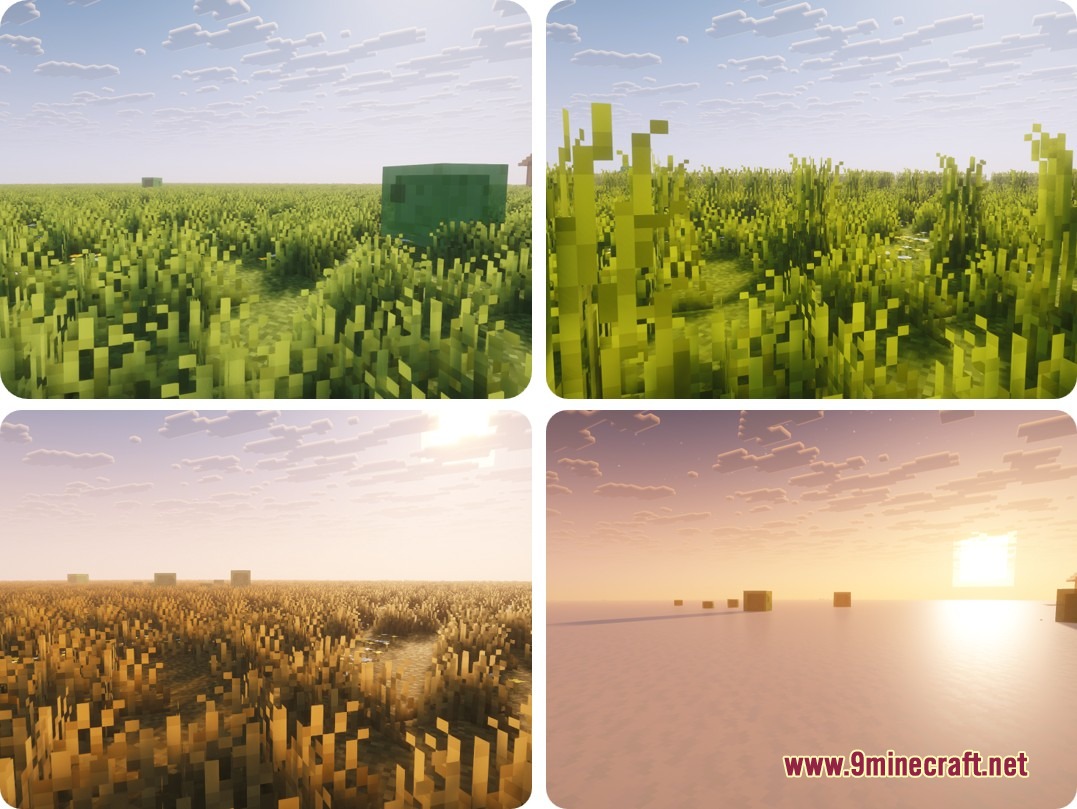 Four panels showing the progression of seasons in a grassy Minecraft field