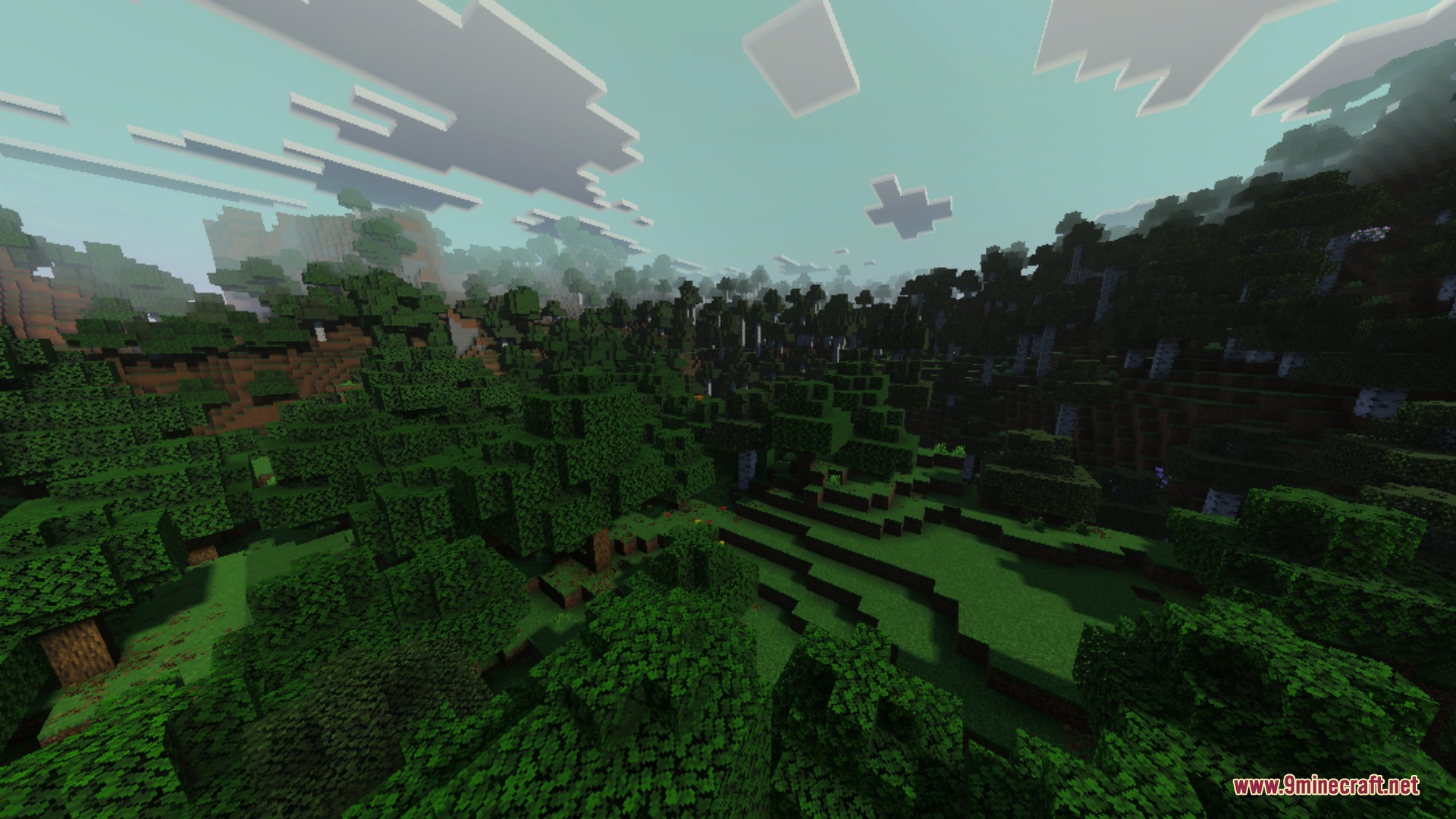 Luminara Visual Shader Screenshot 7 A wide landscape of a dense forest under a clear blue sky