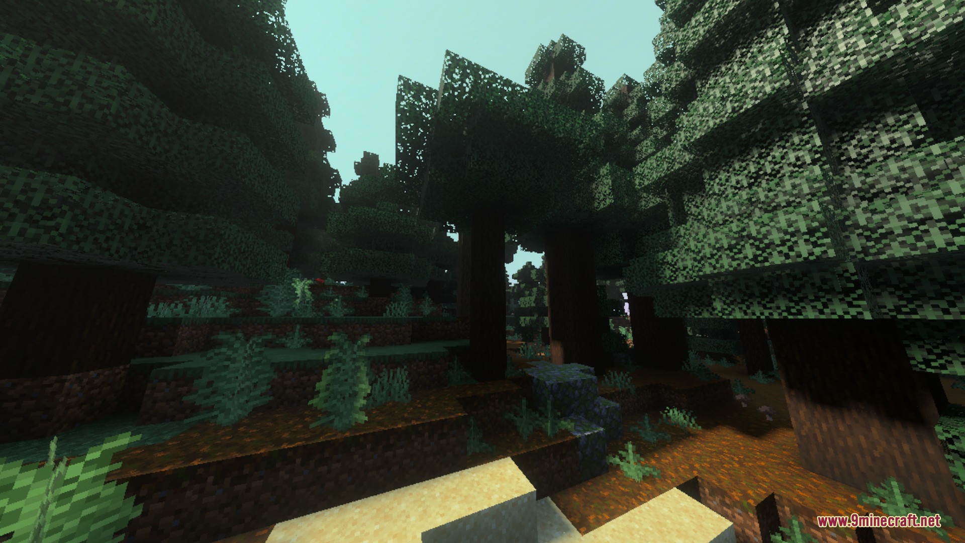 Luminara Visual Shader Screenshot 8 Warm sunlight filtering through the tall trees of a dense forest biome