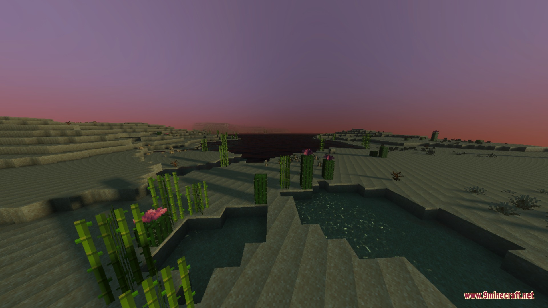 Luminara Visual Shader Screenshot 9 Desert landscape at sunset featuring sugar cane and cacti near a lake