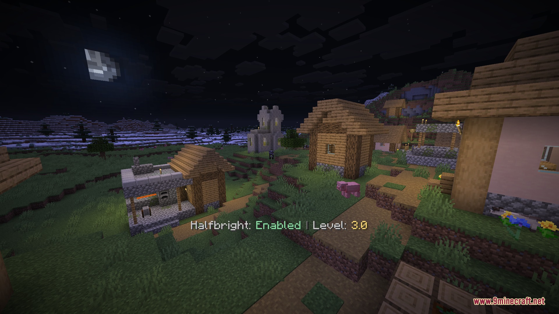 Luminous Depth Mod Screenshot 7 Minecraft village at night with the halfbright level set to three point zero
