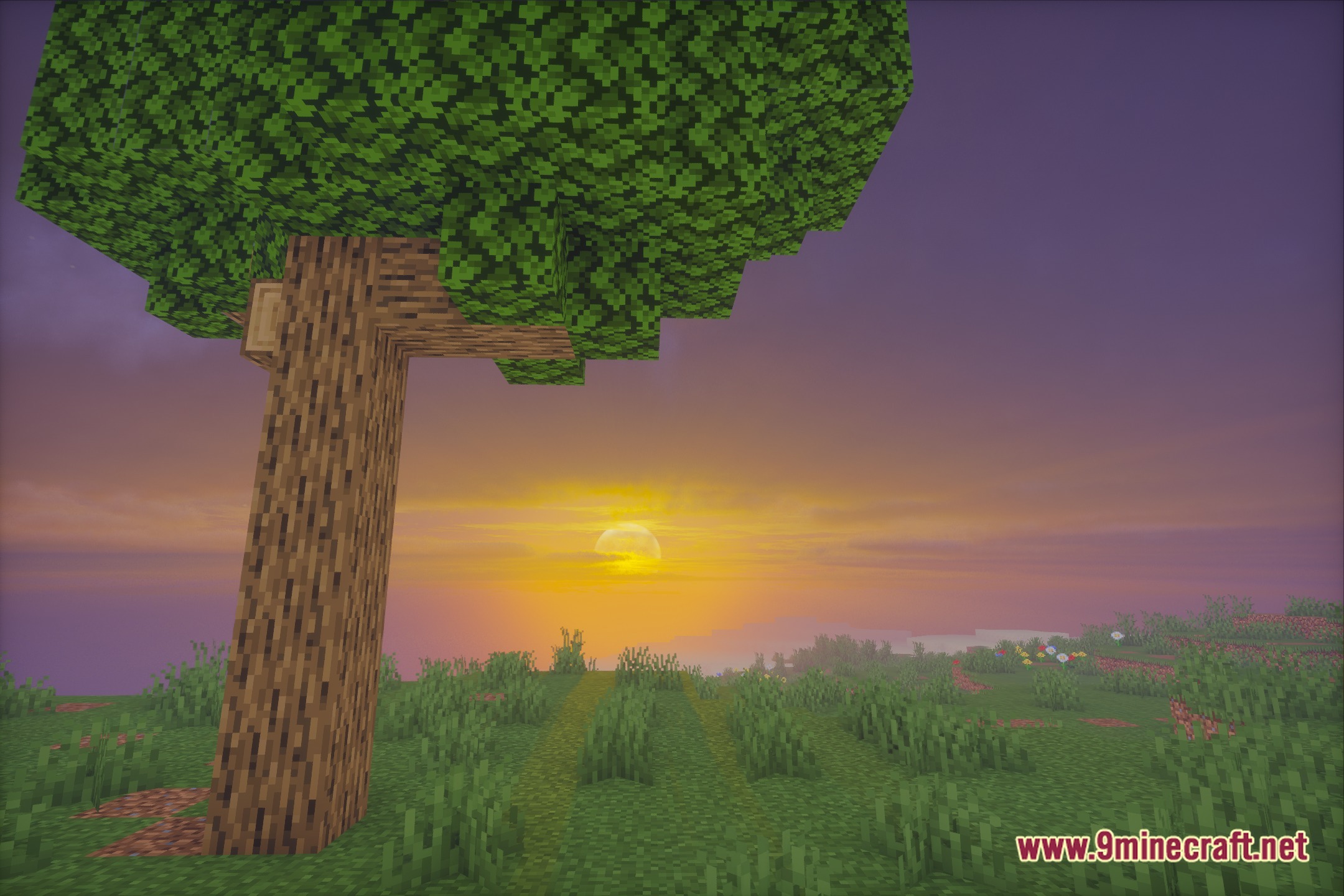 Luster Shaders Screenshot 3