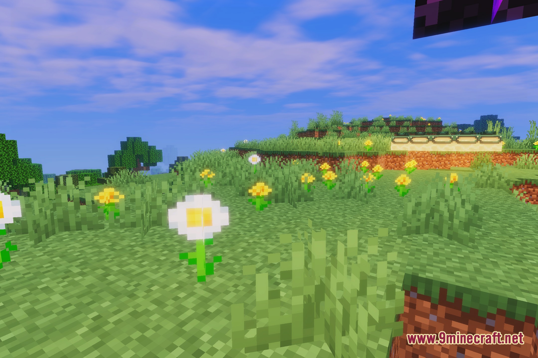 MCF Shaders Screenshot 5