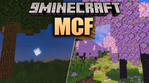 MCF Shaders