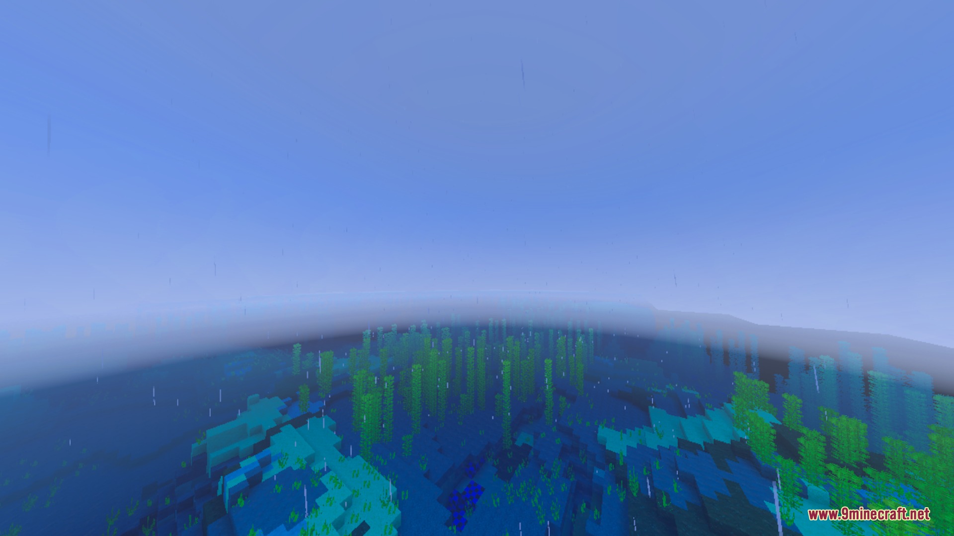 Underwater view of tall green kelp plants in a clear blue ocean