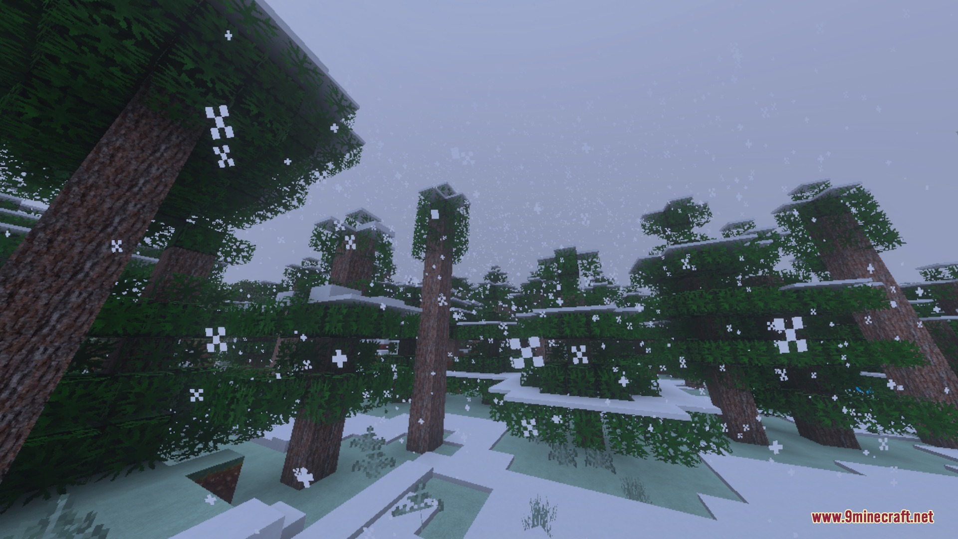 Snowy spruce trees in a winter biome with realistic falling snow particles