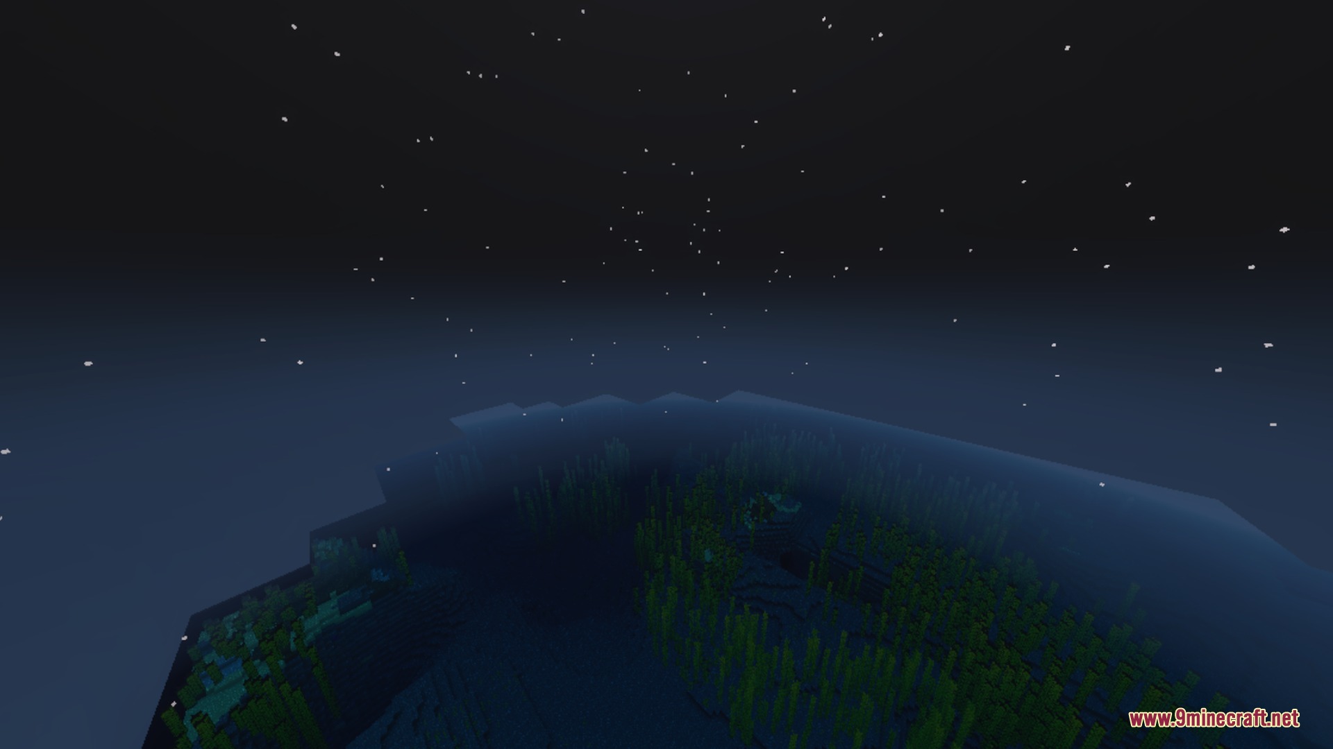 Clear ocean water at night showing green underwater kelp under a starry sky