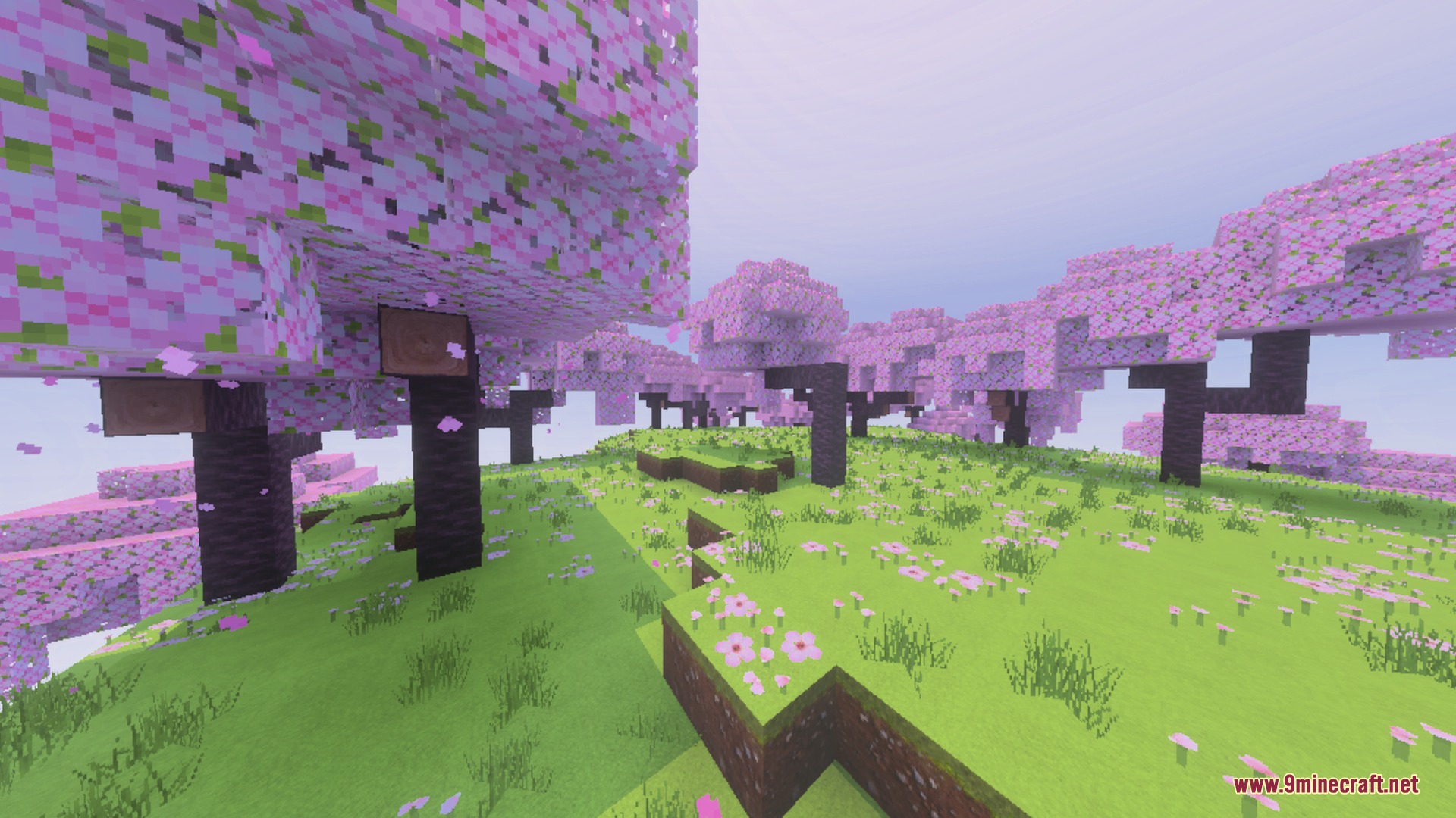 Pink cherry blossom trees stand on a grassy hill under a bright sky