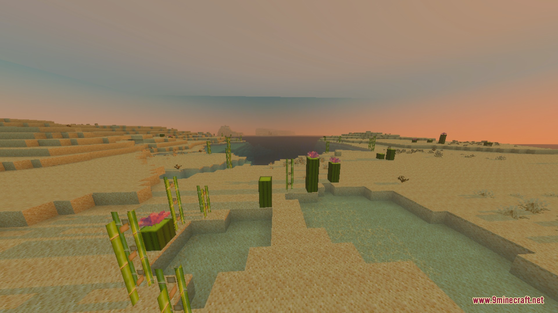 Soft sunset lighting over a desert landscape with flowering cacti and water pools