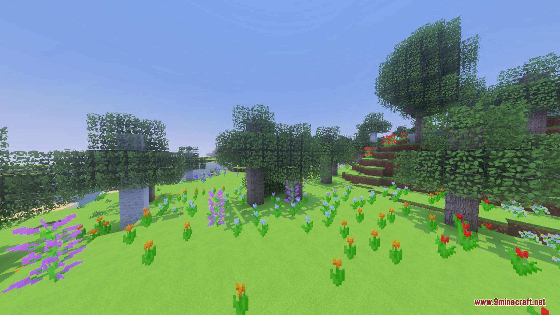 A peaceful flower field with soft lighting and vibrant green grass textures