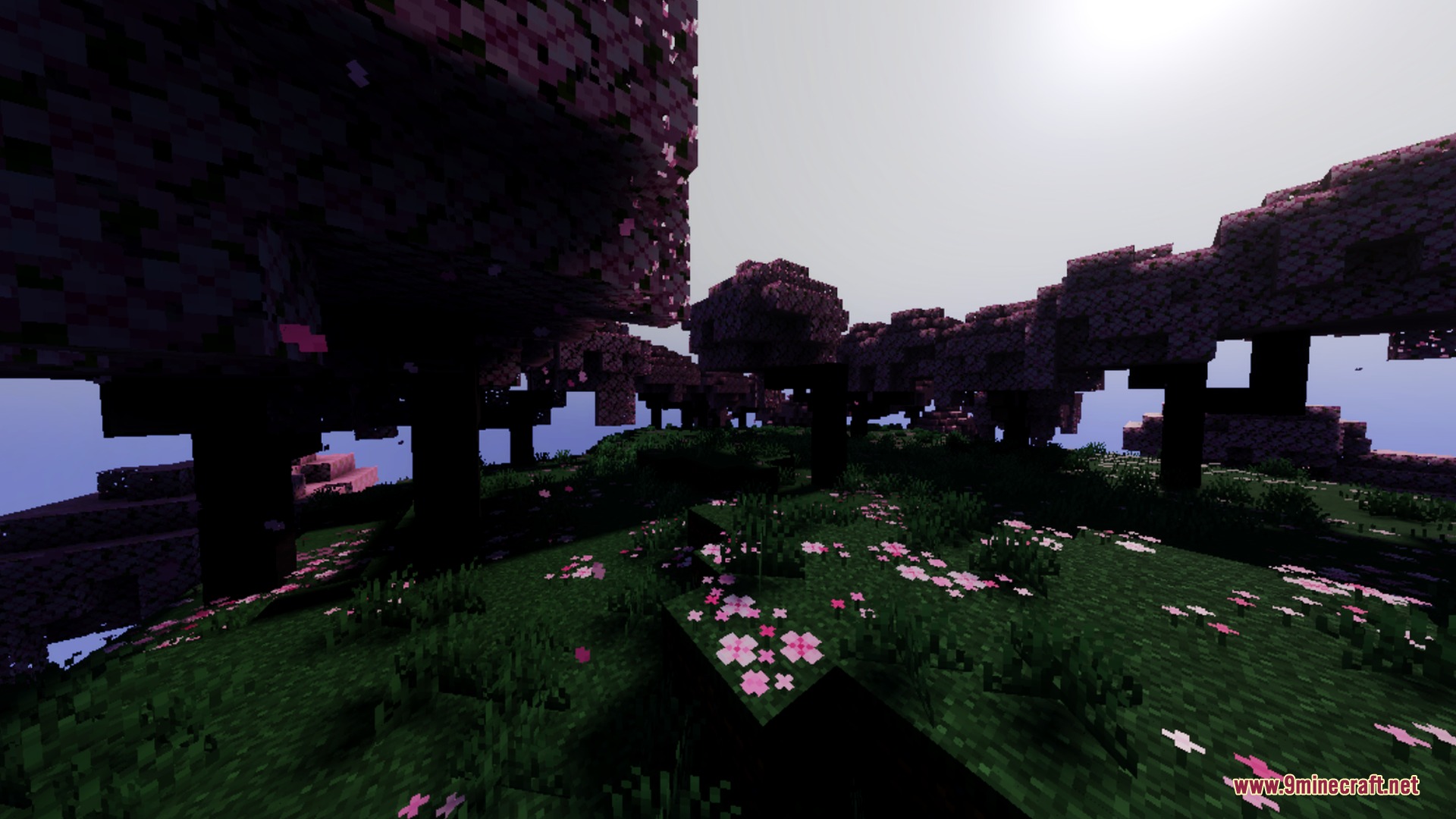 Mahou Vibrant Visual Shader Screenshot 1 Vibrant cherry blossom biome featuring pink trees and atmospheric fog under bright light