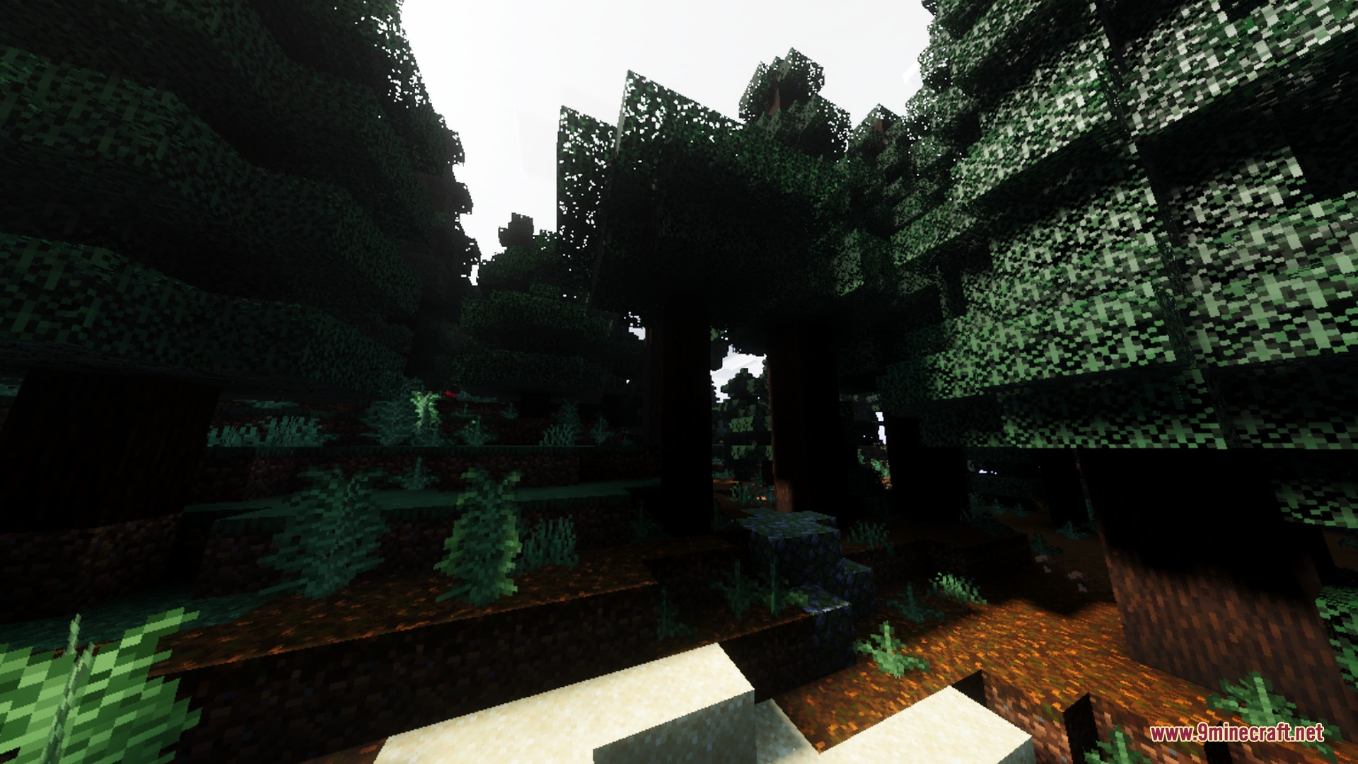 Mahou Vibrant Visual Shader Screenshot 2 Sunlight filters through the canopy of a dense spruce forest with deep shadows