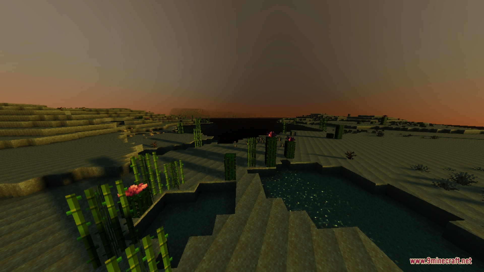 Mahou Vibrant Visual Shader Screenshot 3 Sugar cane and cacti grow in a desert under a hazy sunset sky