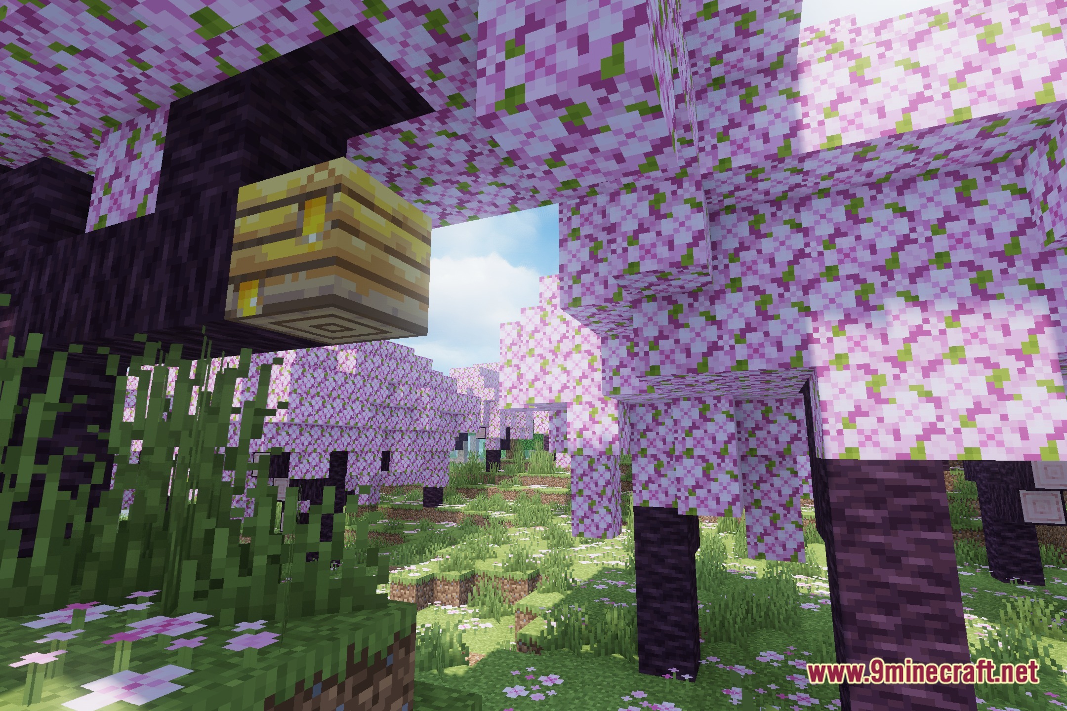 MakeUp Ultra Fast Ringed Shaders Screenshot 1