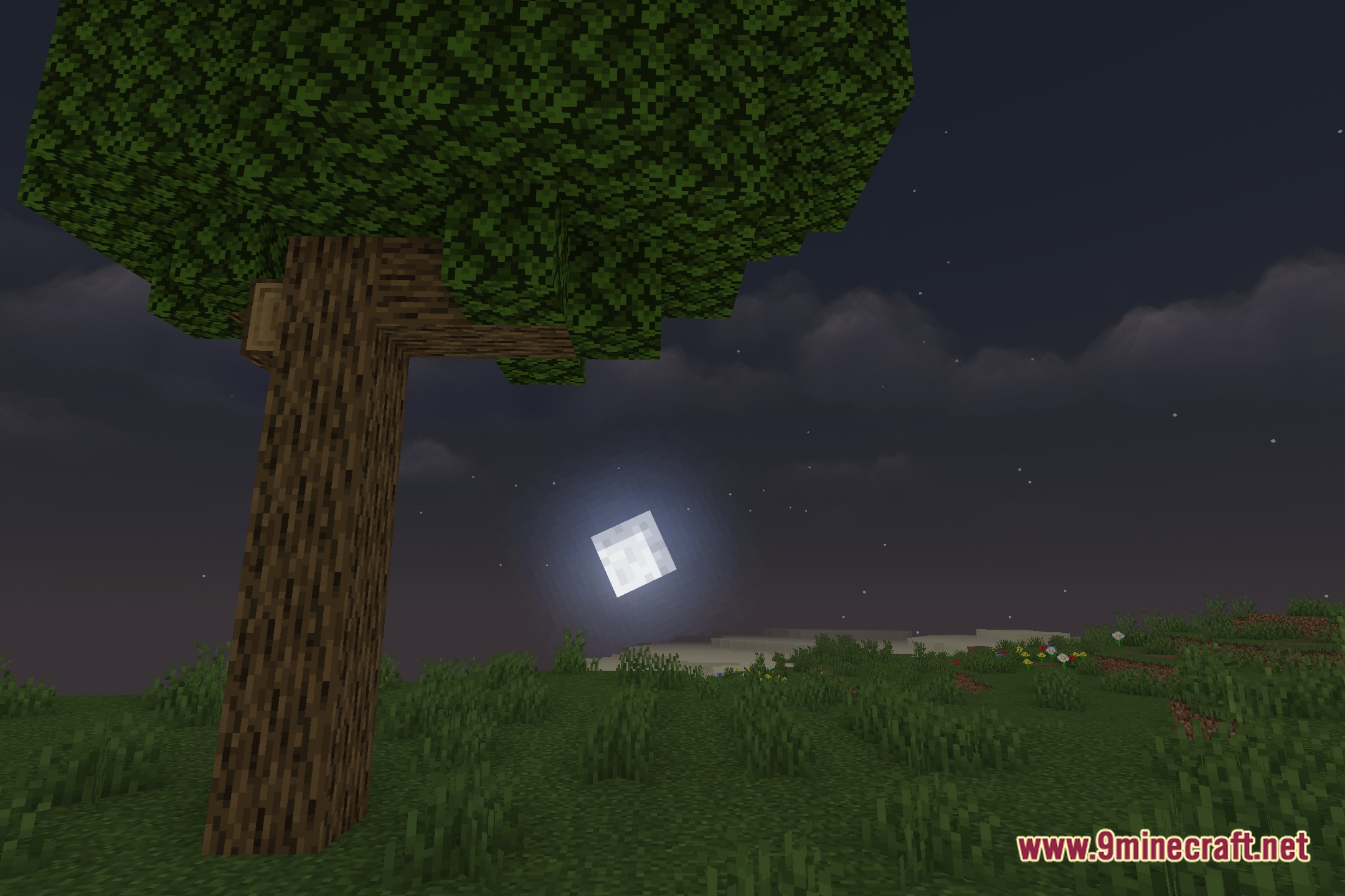 MakeUp Ultra Fast Ringed Shaders Screenshot 4