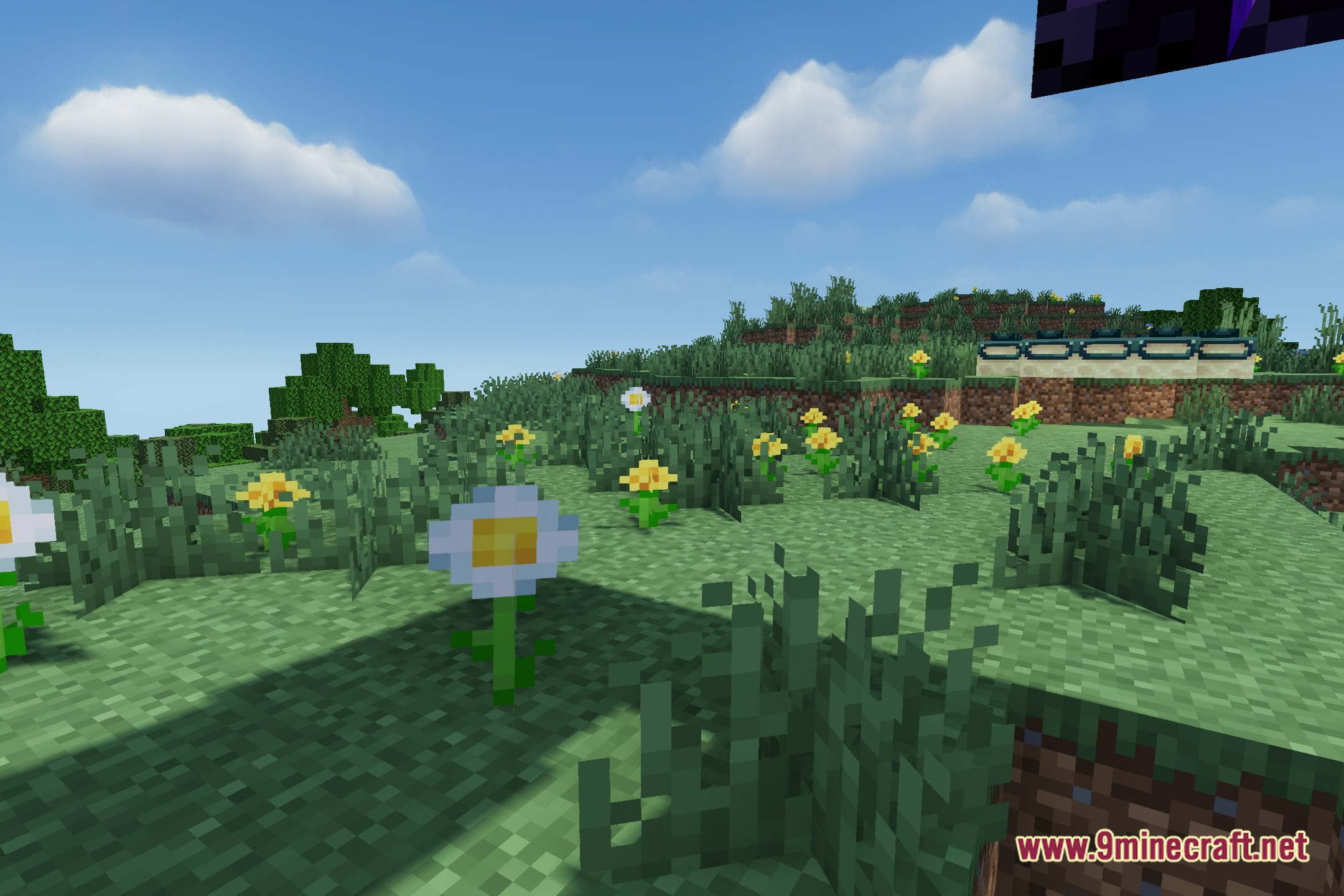 MakeUp Ultra Fast Ringed Shaders Screenshot 5