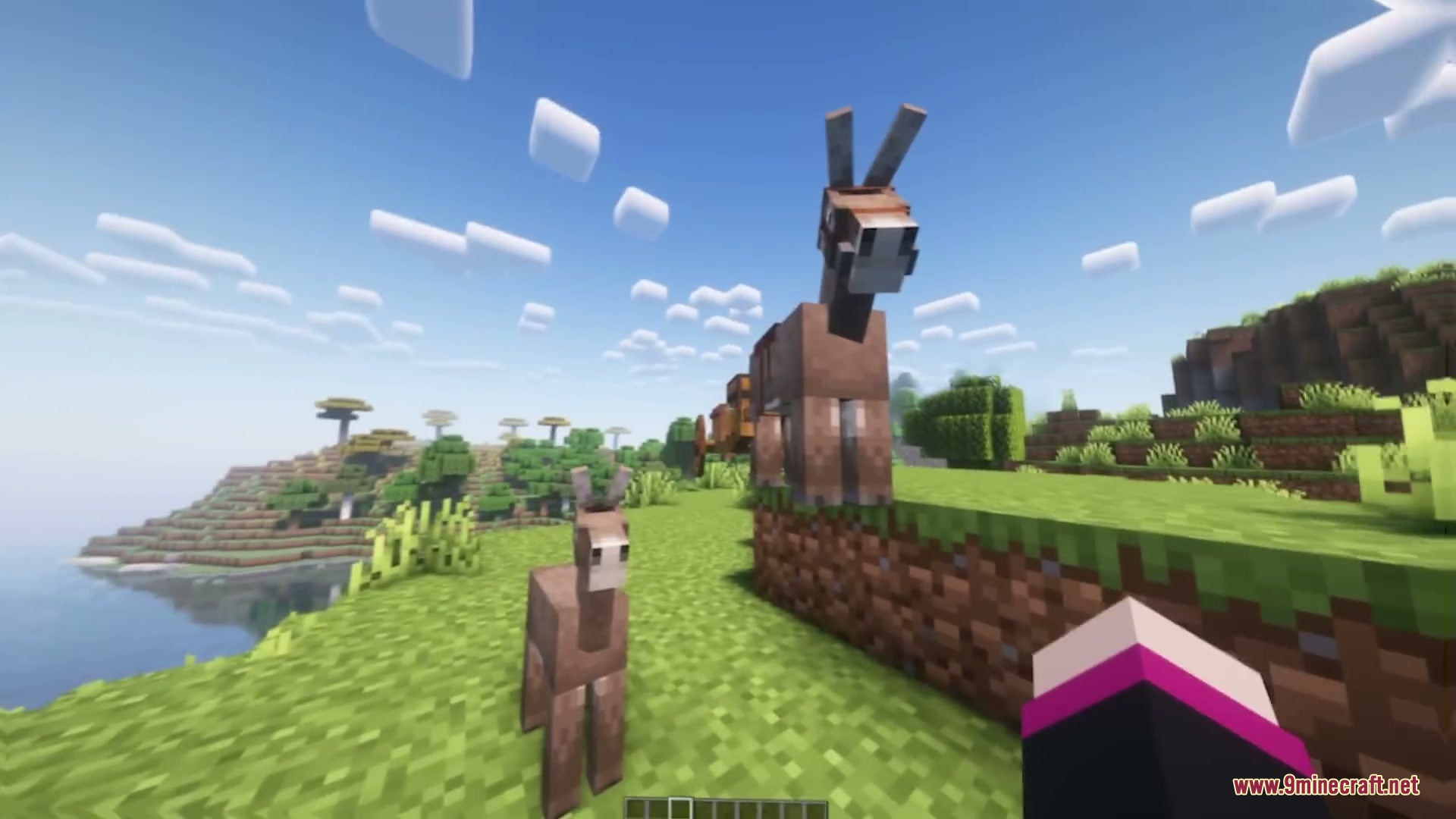 Medieval Cart with Donkey Resource Pack Screenshot 4