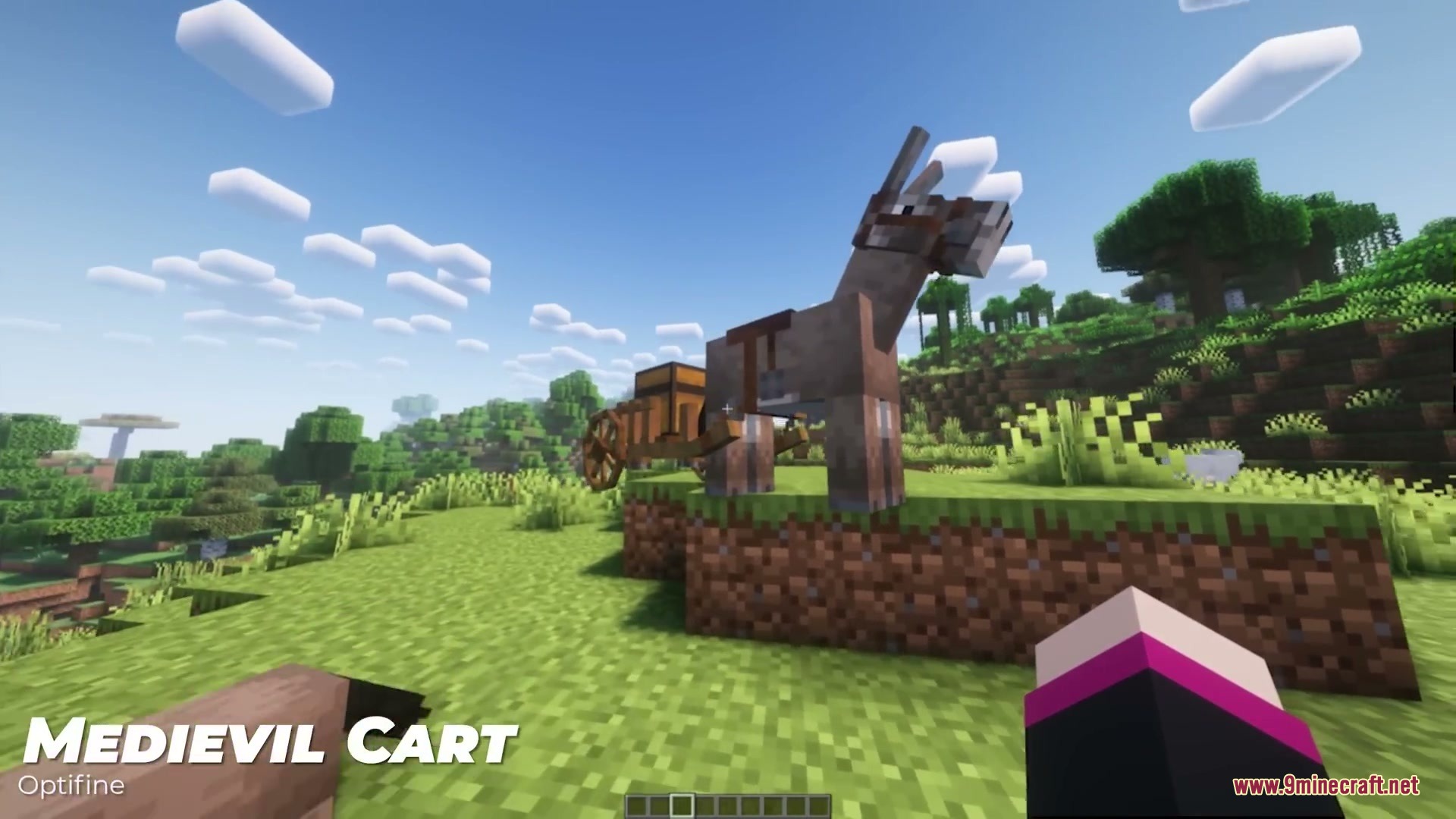 Medieval Cart with Donkey Resource Pack Screenshot 5