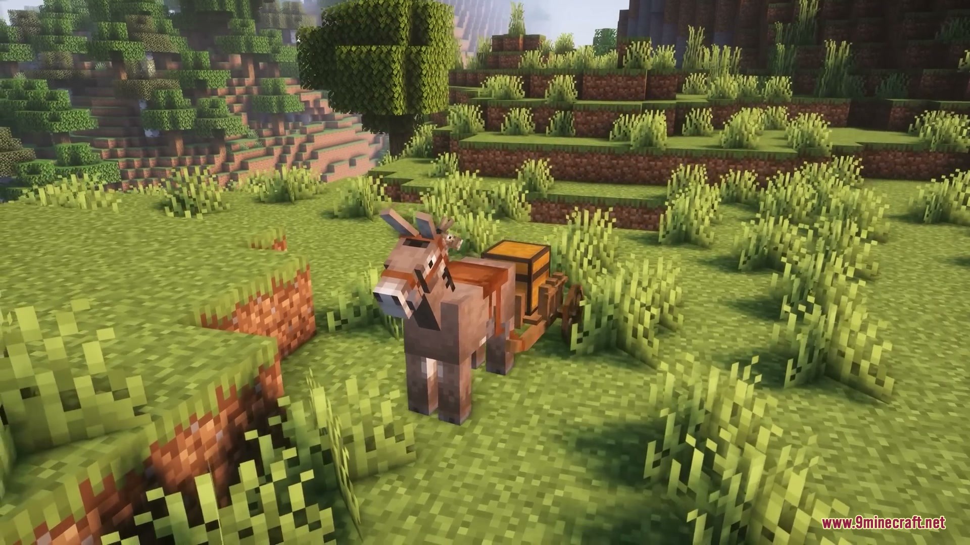 Medieval Cart with Donkey Resource Pack Screenshot 6