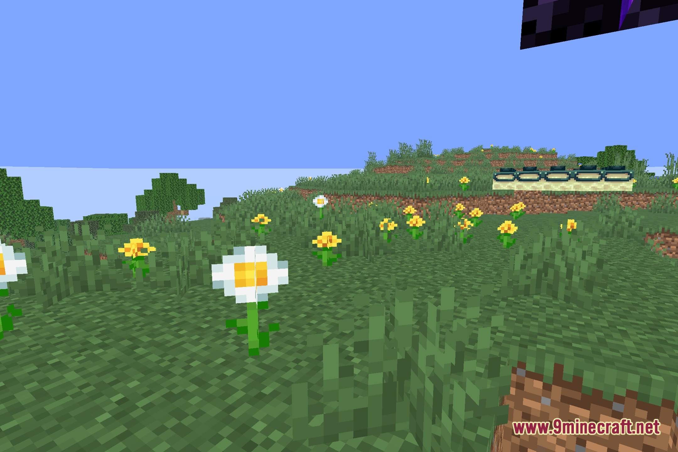 Minecraft Expofog Shaders Screenshot 5