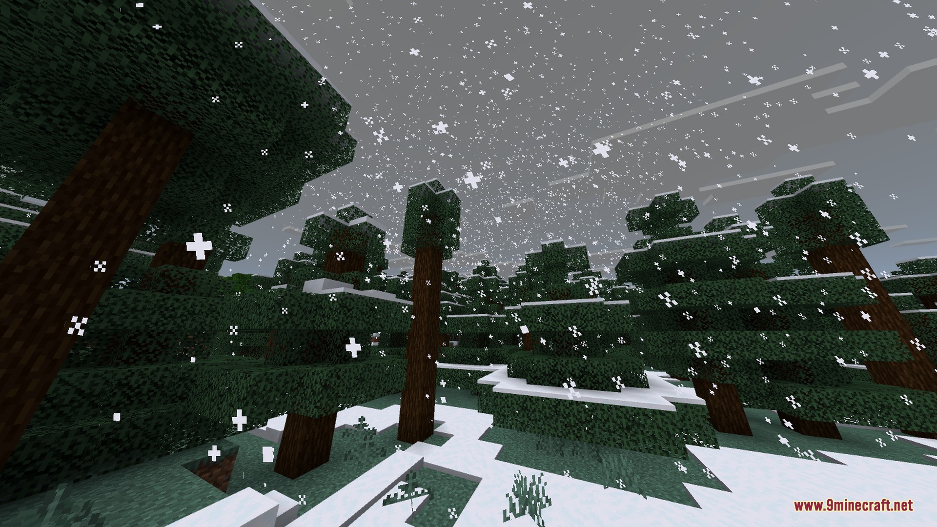 Minecraft Japanese Tools Shader Screenshot 10 A peaceful snowy taiga biome with spruce trees and falling white snowflakes