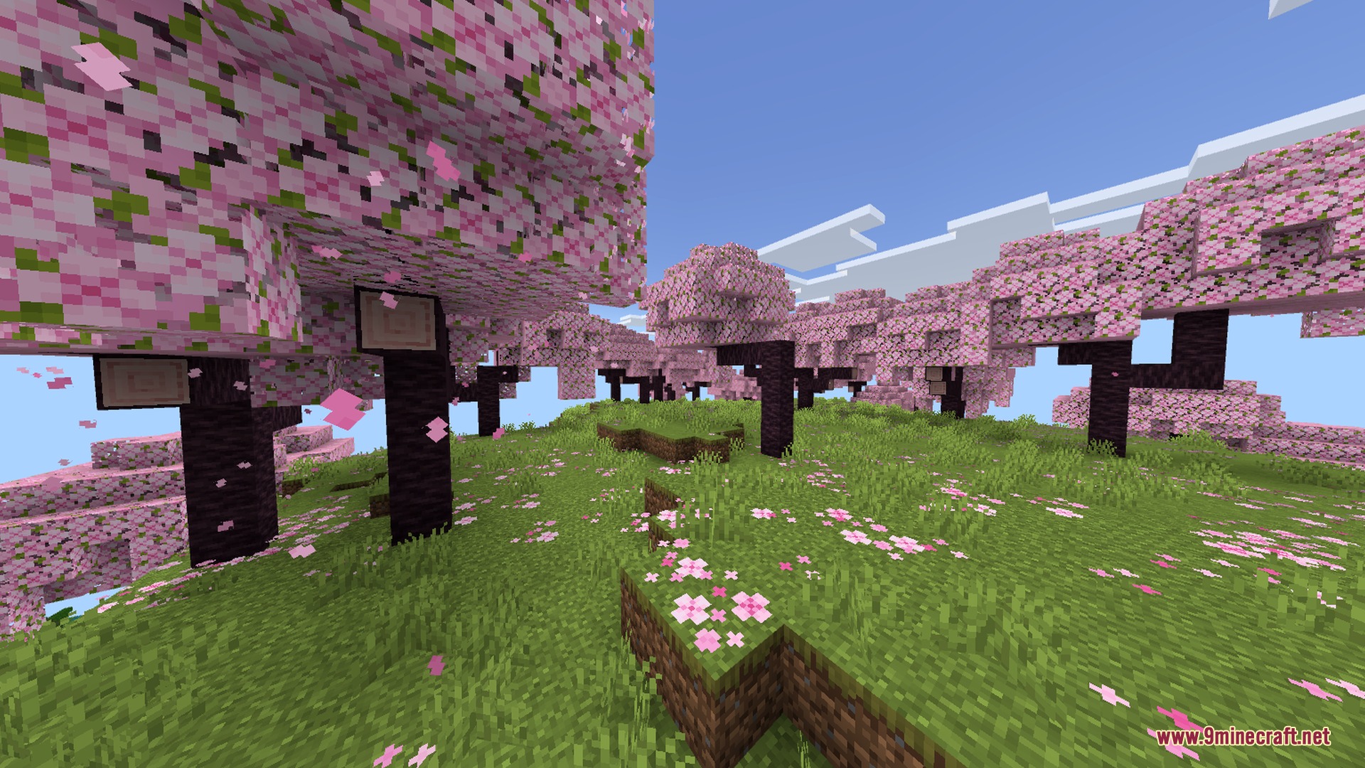 Minecraft Japanese Tools Shader Screenshot 6 Beautiful pink cherry blossom trees bloom across a grassy landscape in Minecraft