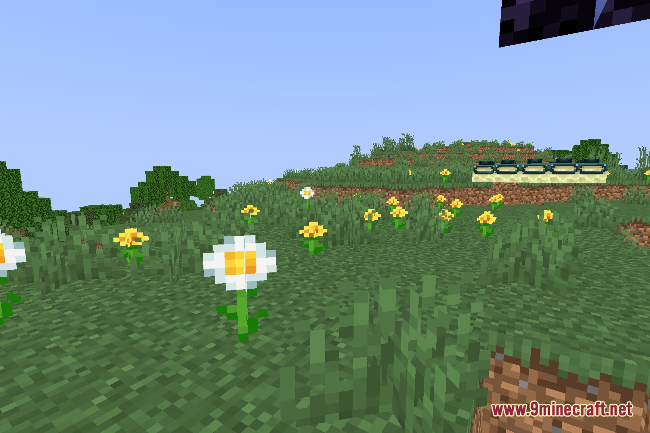 Minecraft SSR Shaders Screenshot 5