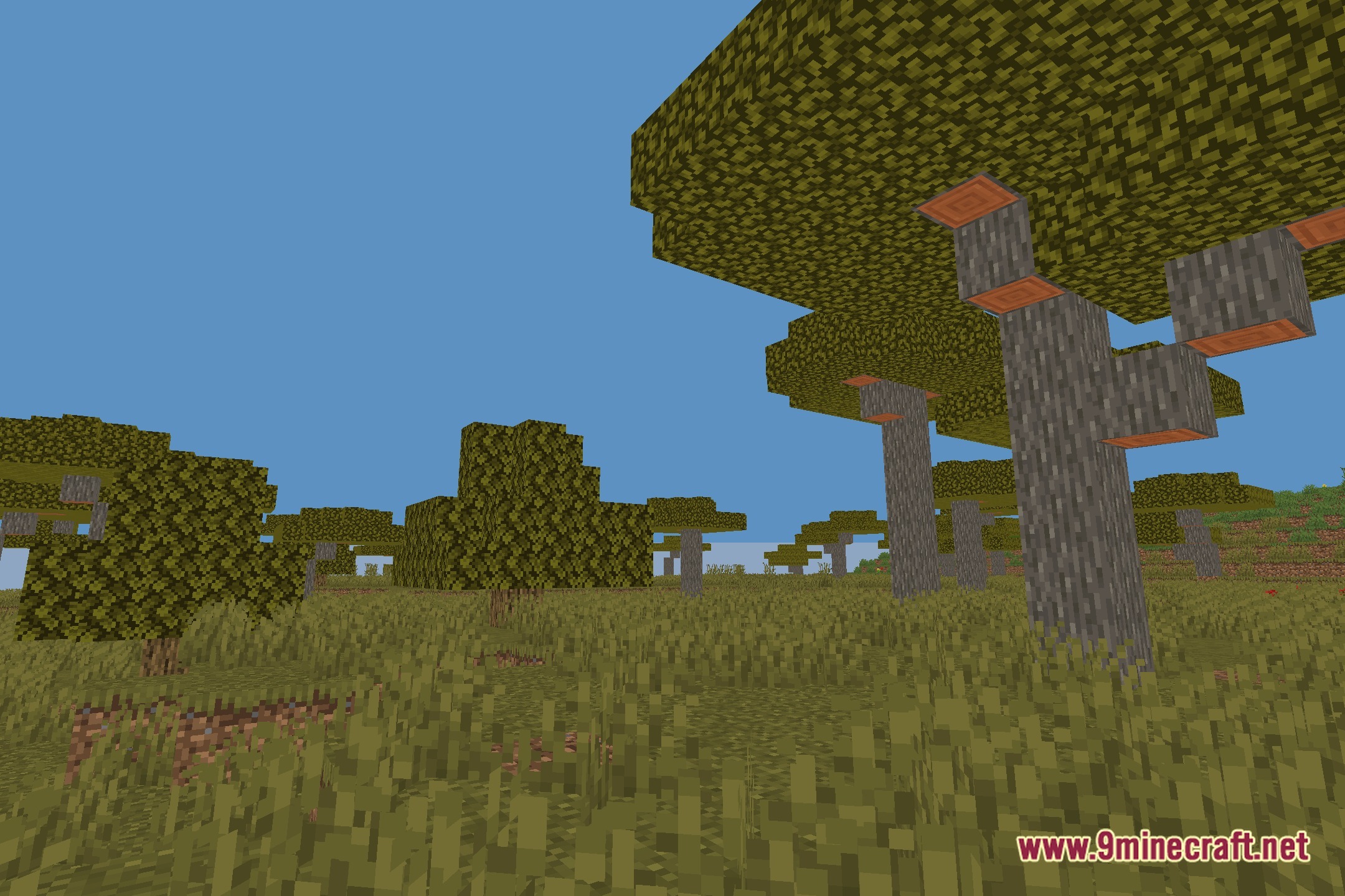 MinecraftShaderized Shaders Screenshot 12