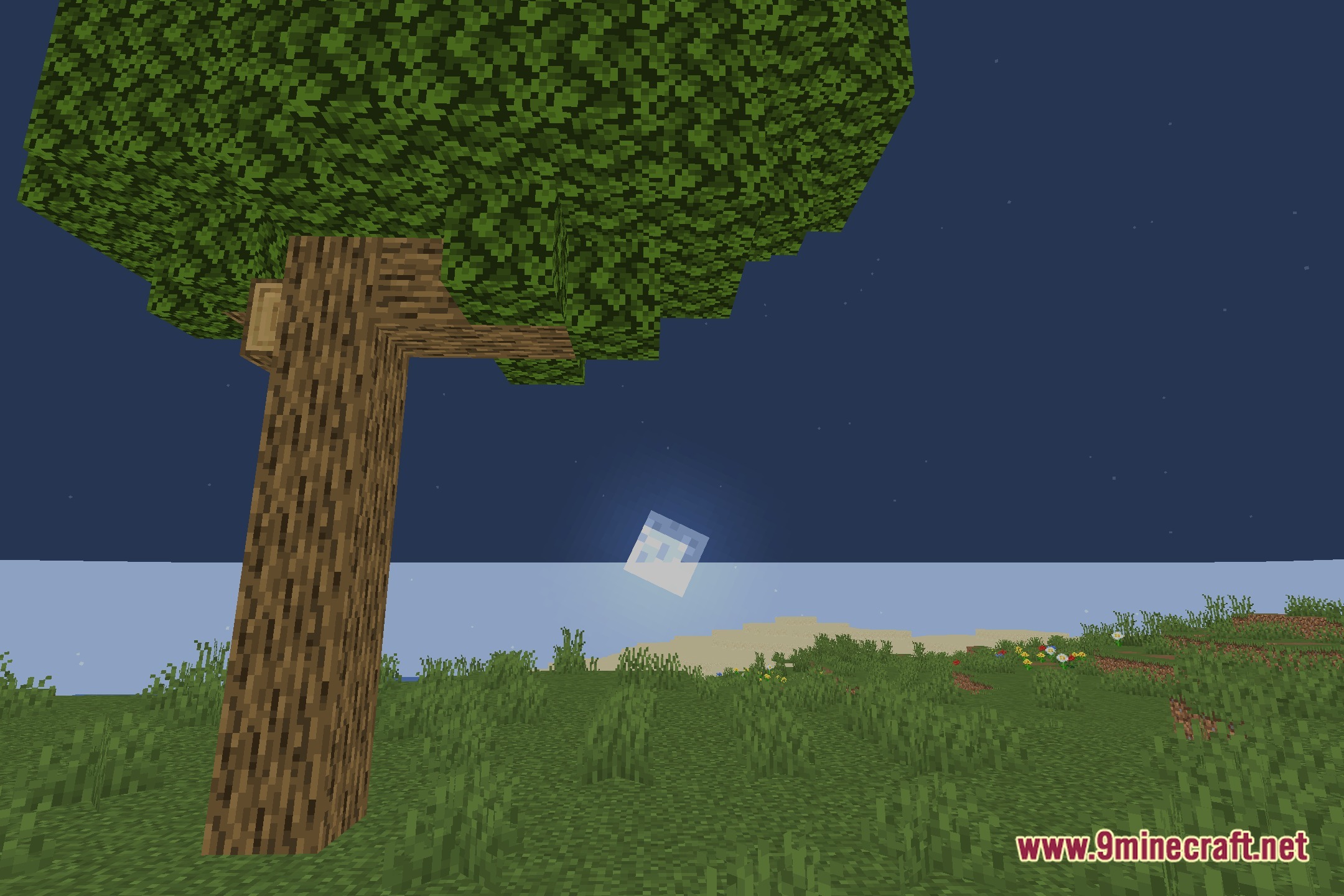 MinecraftShaderized Shaders Screenshot 3