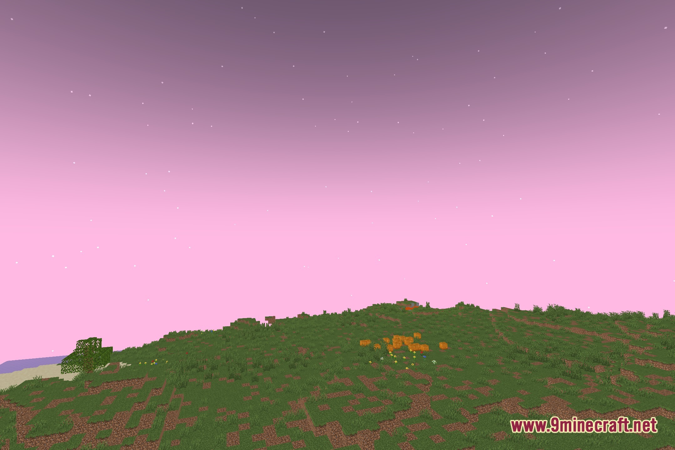 Mini Plus Shaders Screenshot 8