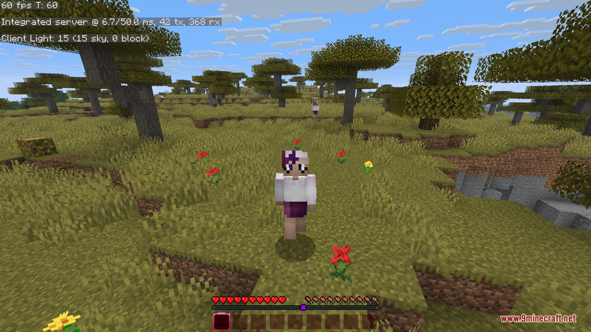 Mirror Shadow Echo Mod Screenshot 5 A player stands in a savanna biome with a shadow clone following