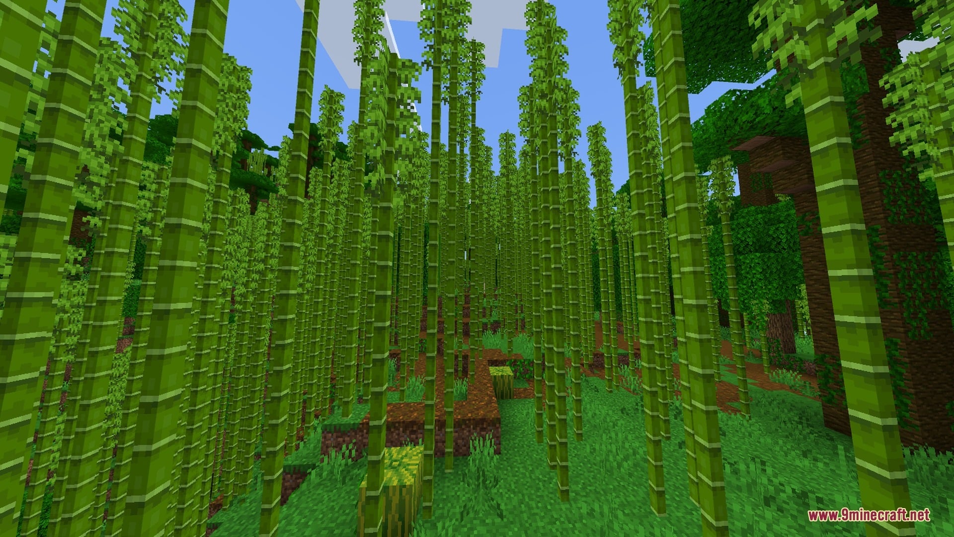 Mobile Ores Fps + Shader Screenshot 9 Tall green bamboo stalks growing densely in a lush jungle biome