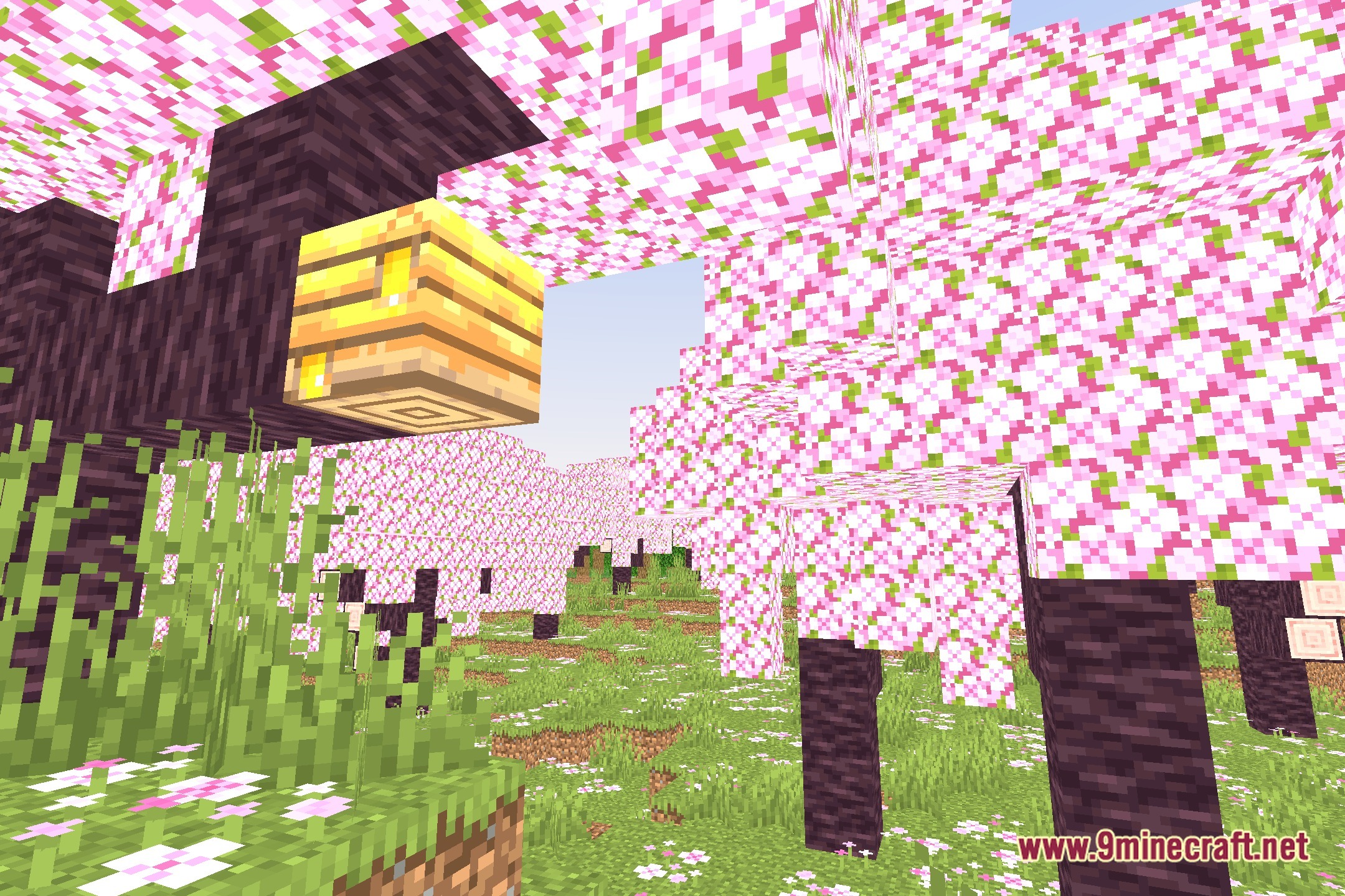 Moonplayshader Screenshot 1
