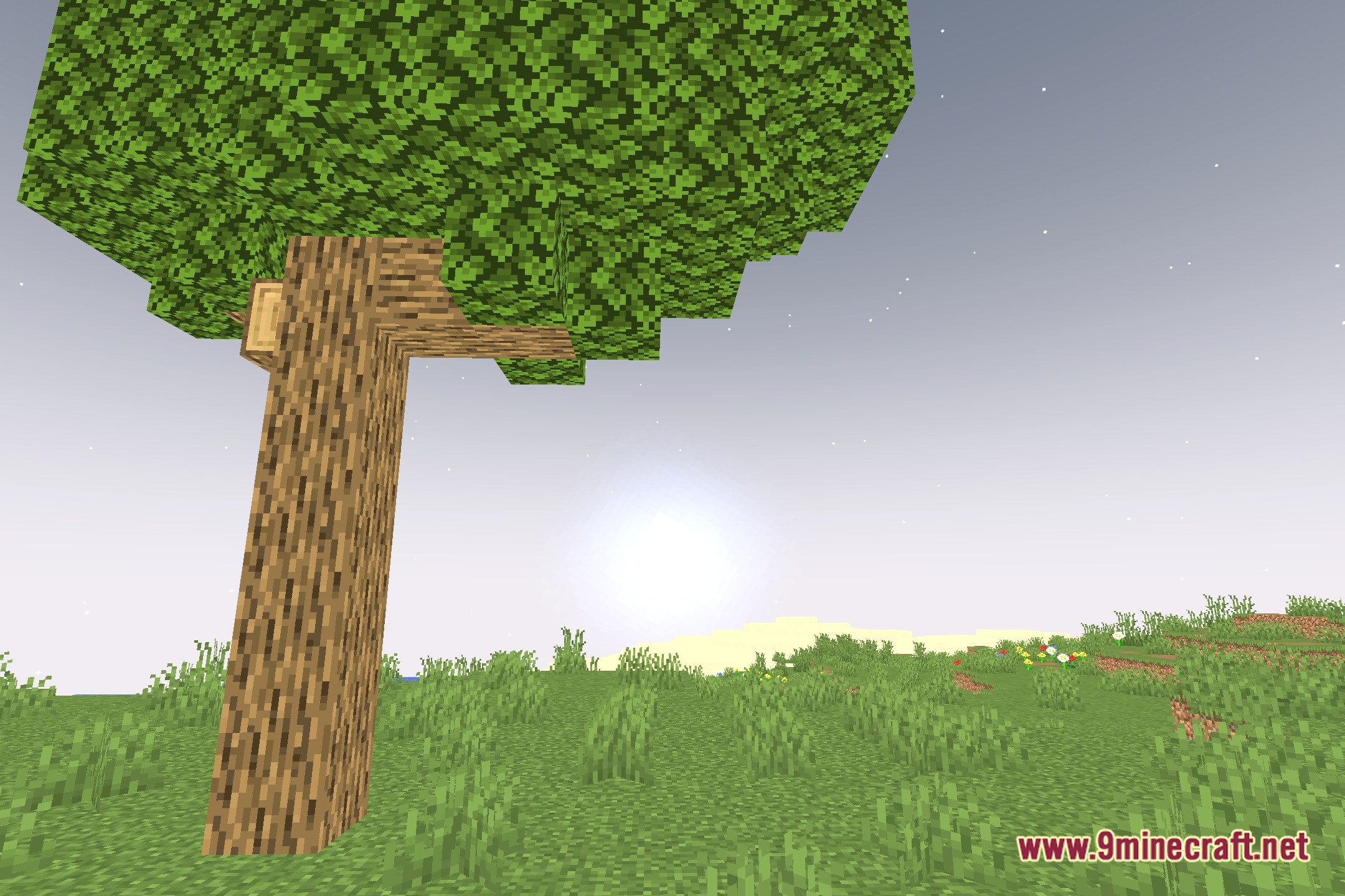 Moonplayshader Screenshot 4