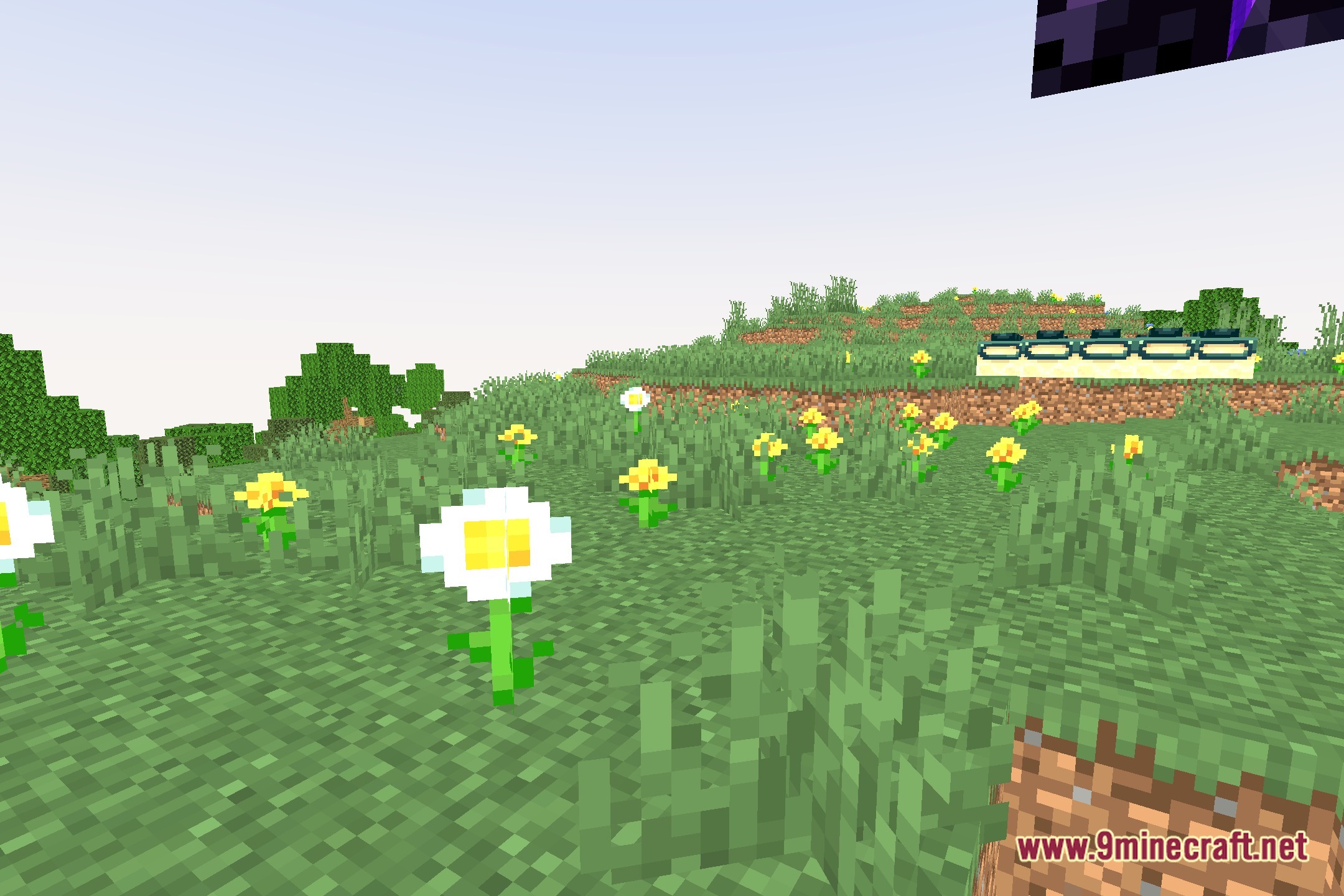 Moonplayshader Screenshot 5