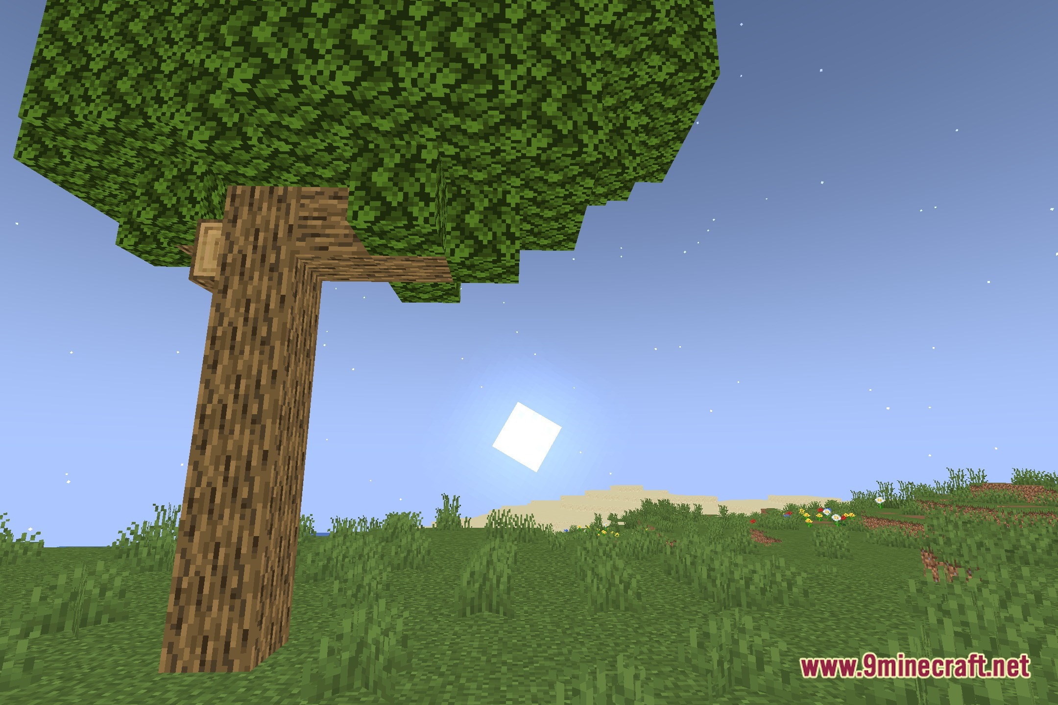 More & Better Shadows Shaders Screenshot 4