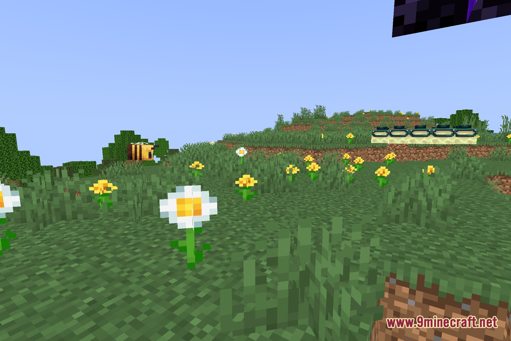 More & Better Shadows Shaders Screenshot 5
