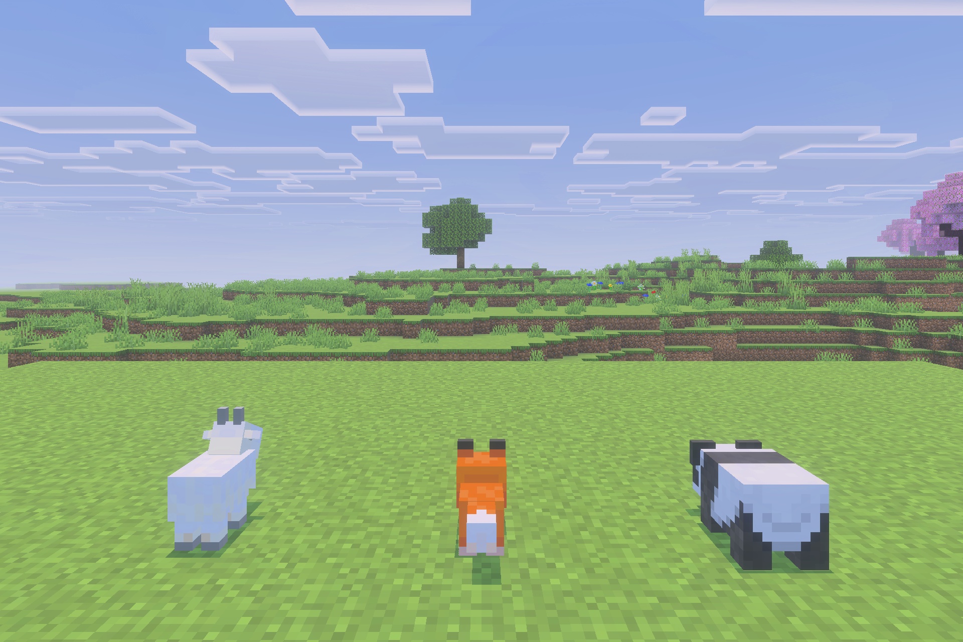 Morph Into Mobs Addon Screenshot 3 Three small Minecraft animals including a goat a fox and a panda